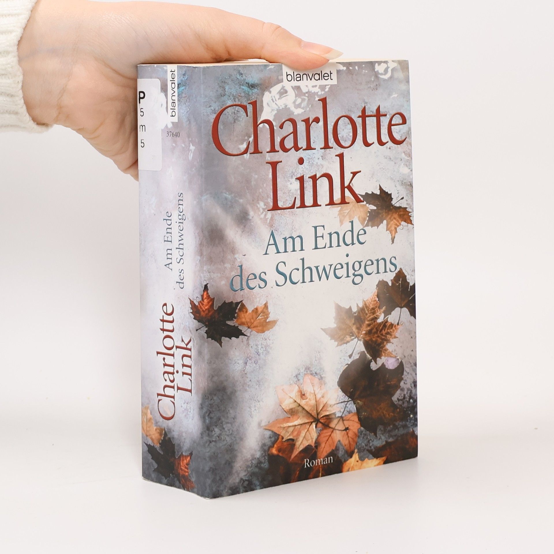 Charlotte Link Am Ende des Schweigens