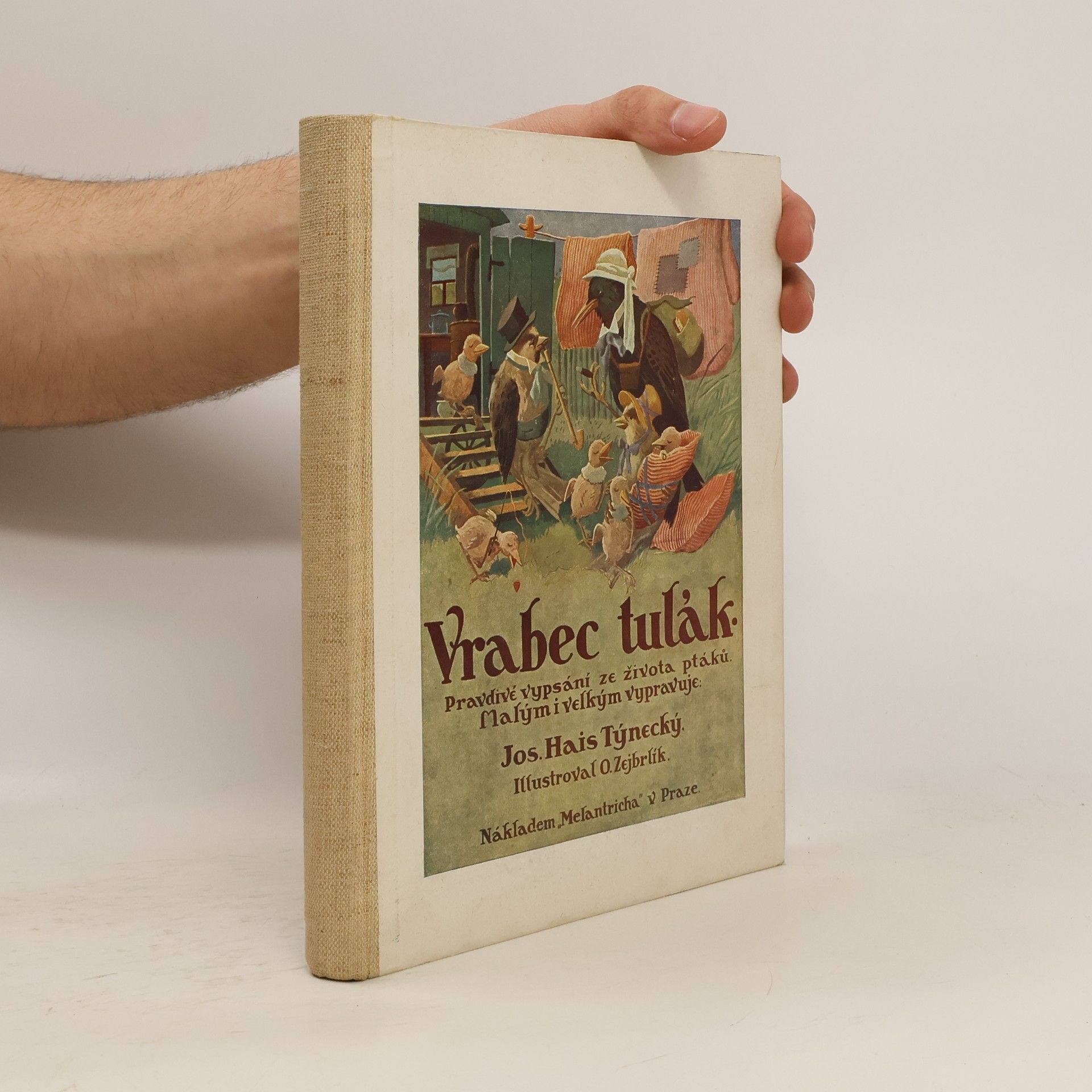 Josef Hais Týnecký Vrabec tulák : pravdivé vypsání ze života ptáků