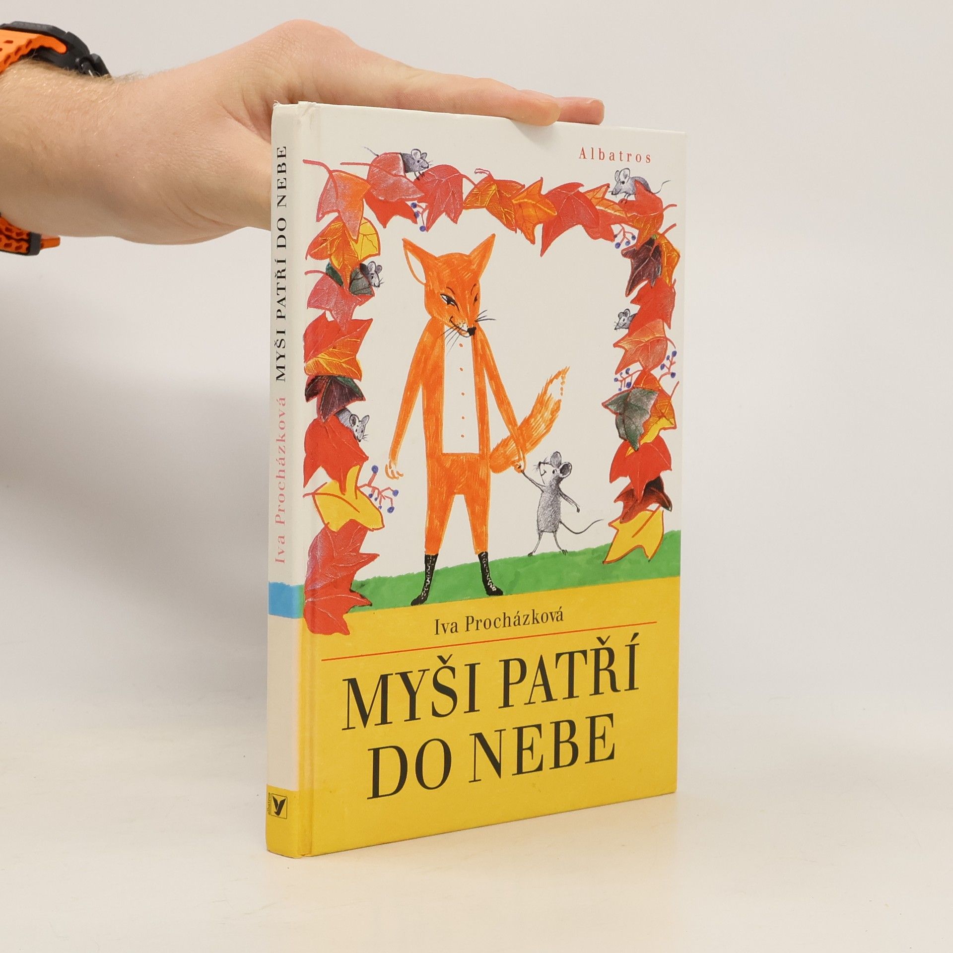 Iva Procházková Myši patří do nebe