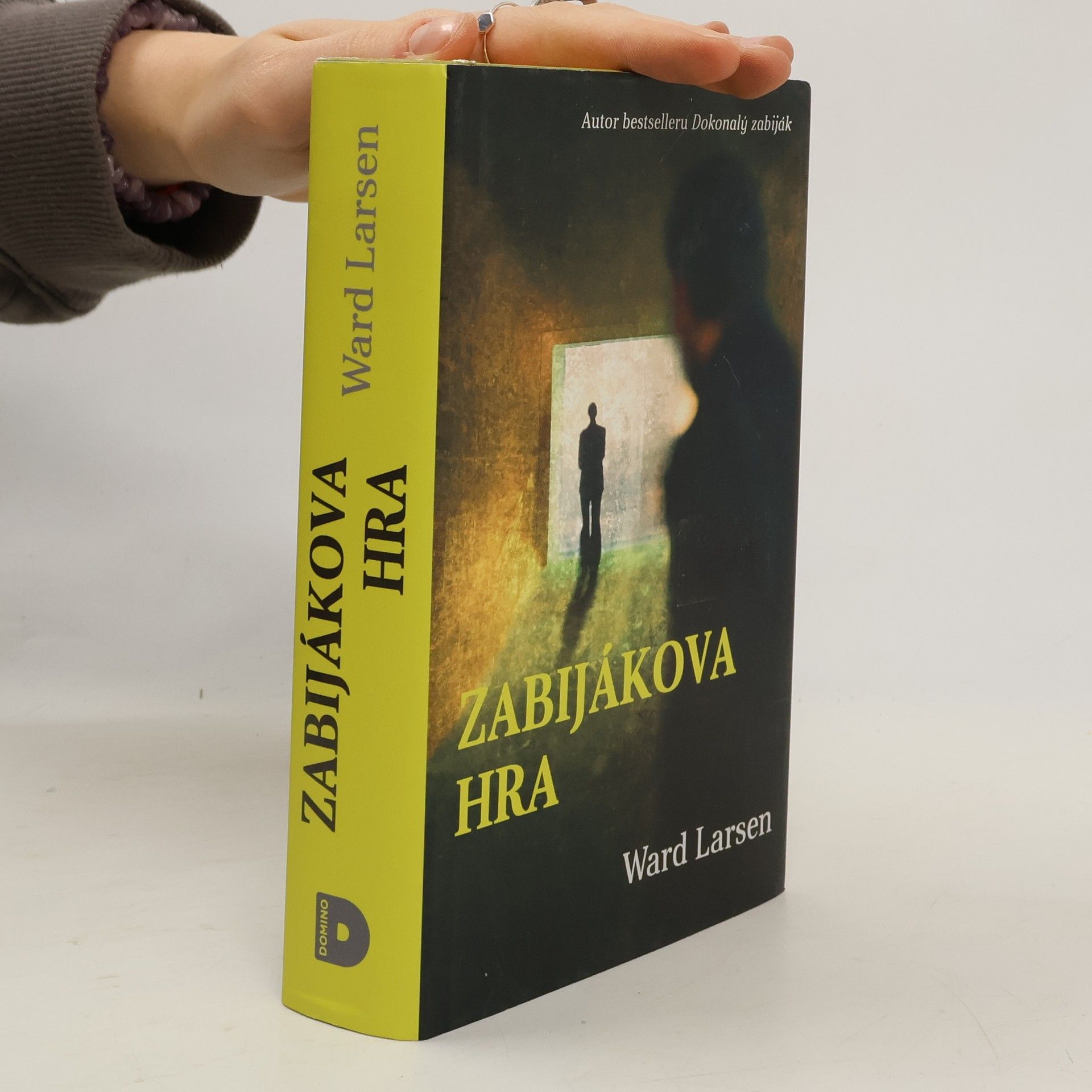 Ward Larsen Zabijákova hra