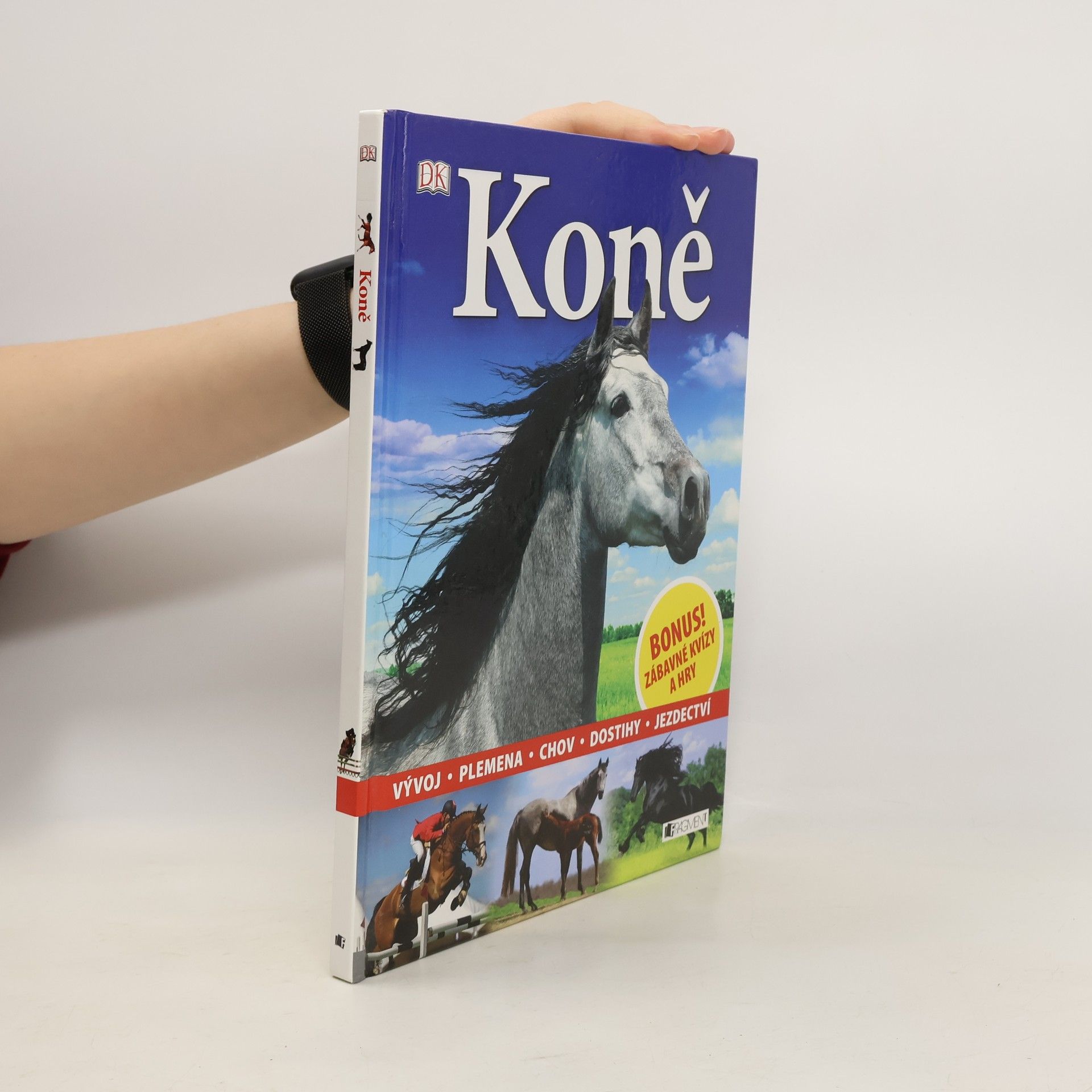 Dagmar Brejlová Koně