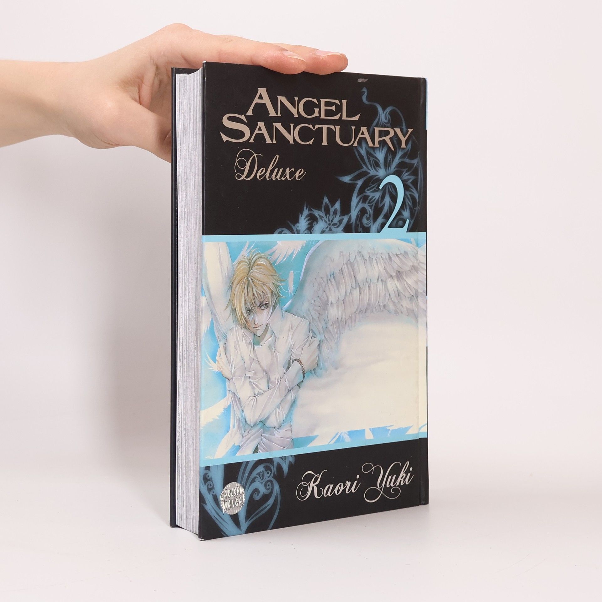 Kaori Yūki Angel sanctuary deluxe 2