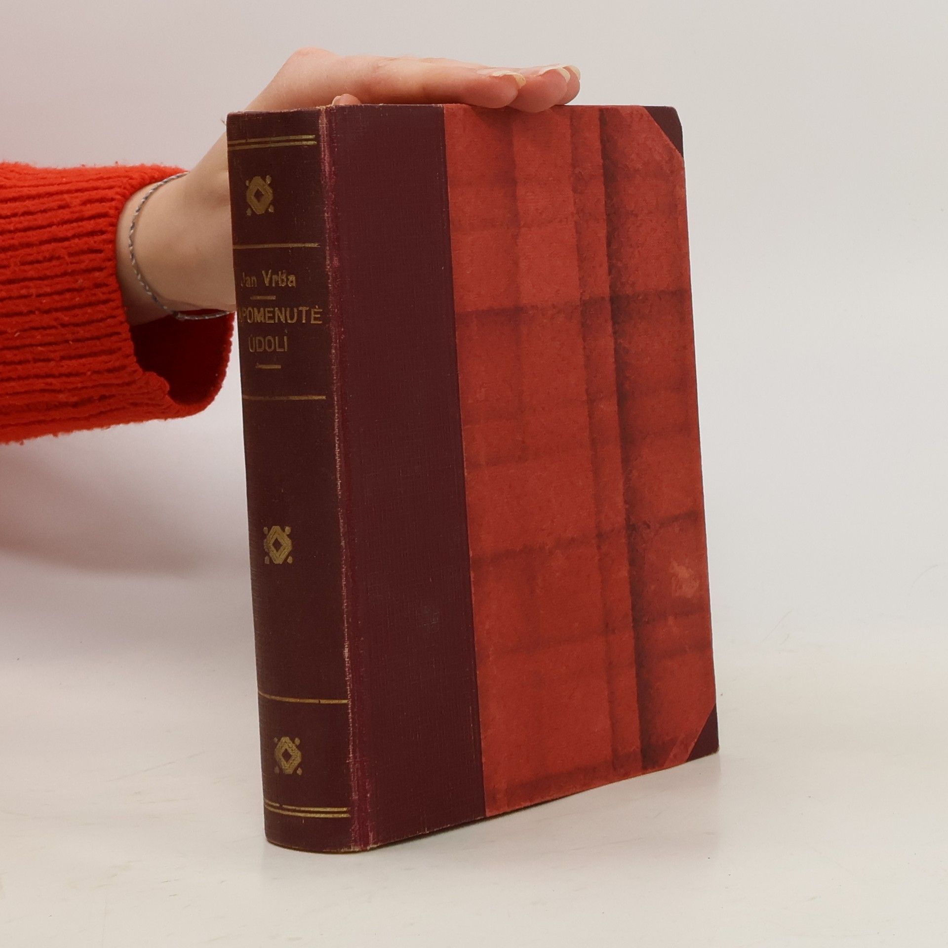 Jan Vrba Zapomenuté údolí