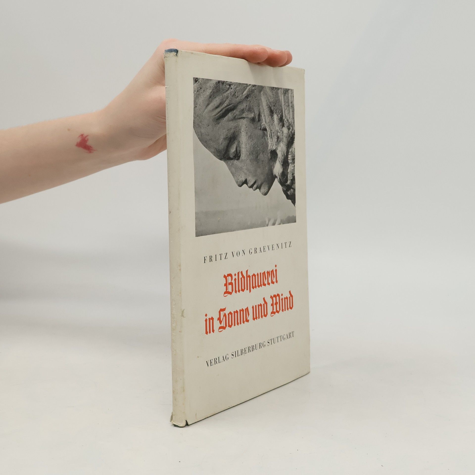 Bildhauerei in Sonne und Wind