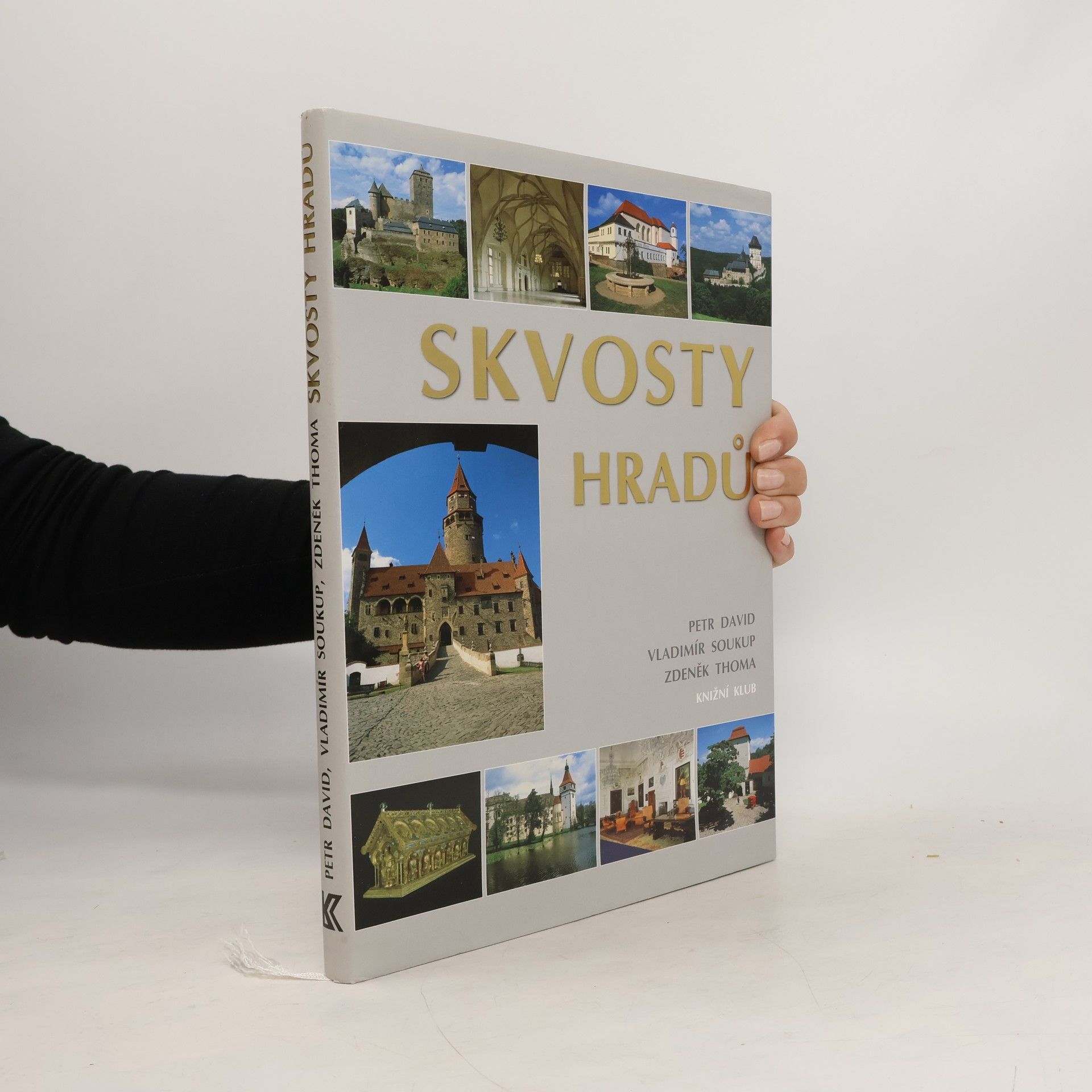 Petr David Skvosty hradů