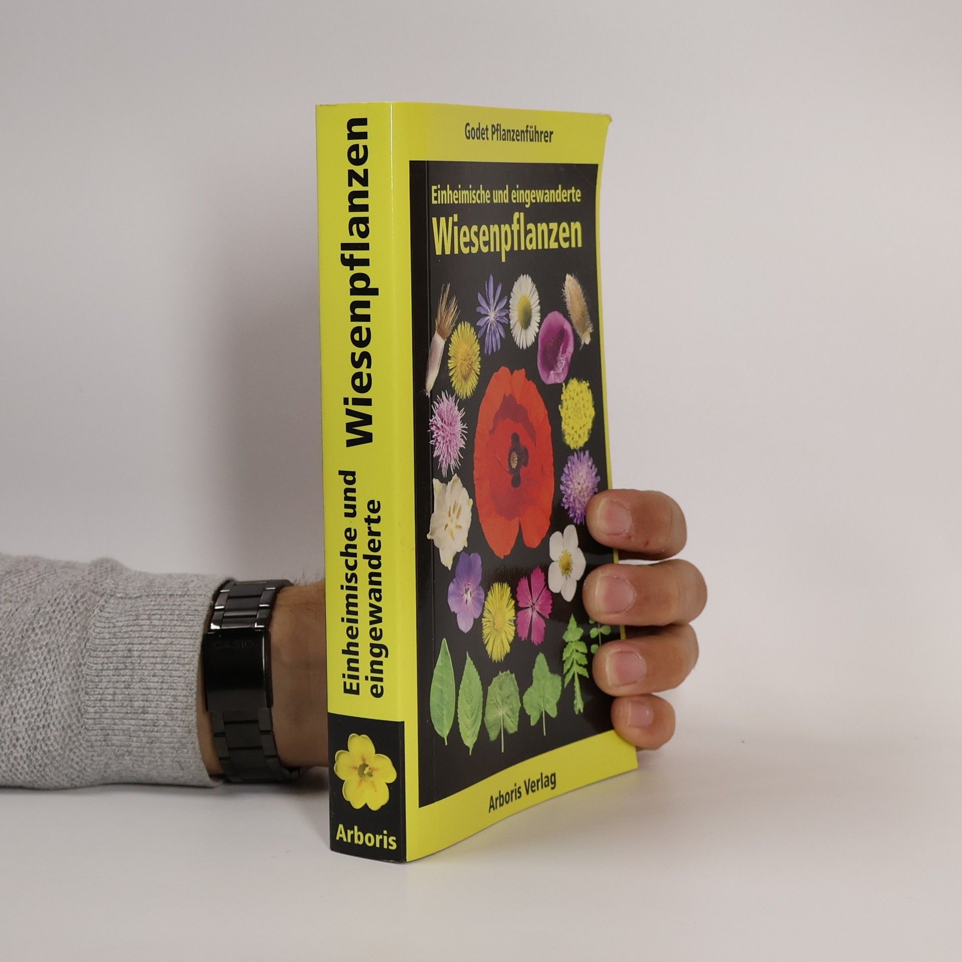 Jean-Denis Godet Wiesenpflanzen