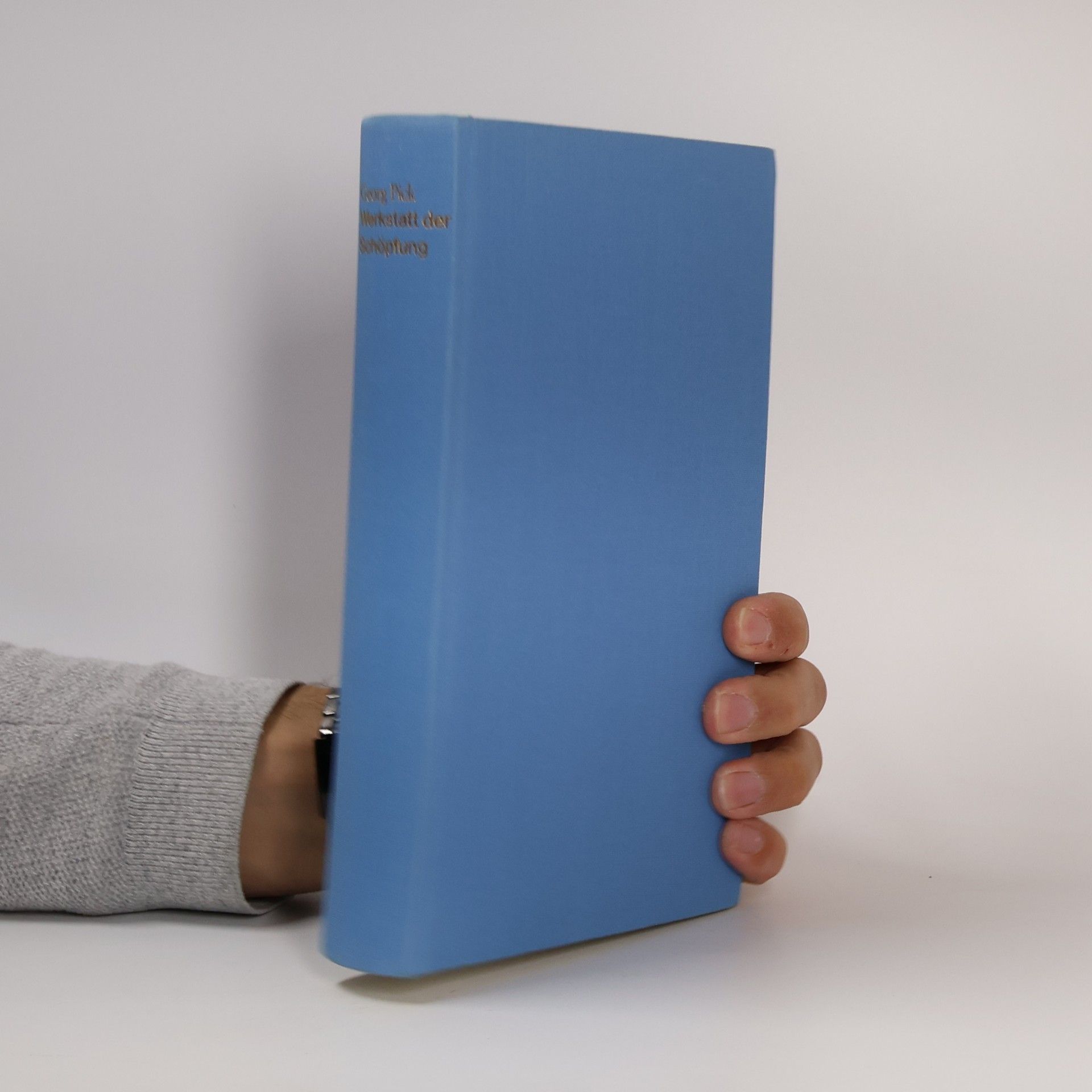 Georg Pick Werkstatt der Schöpfung.