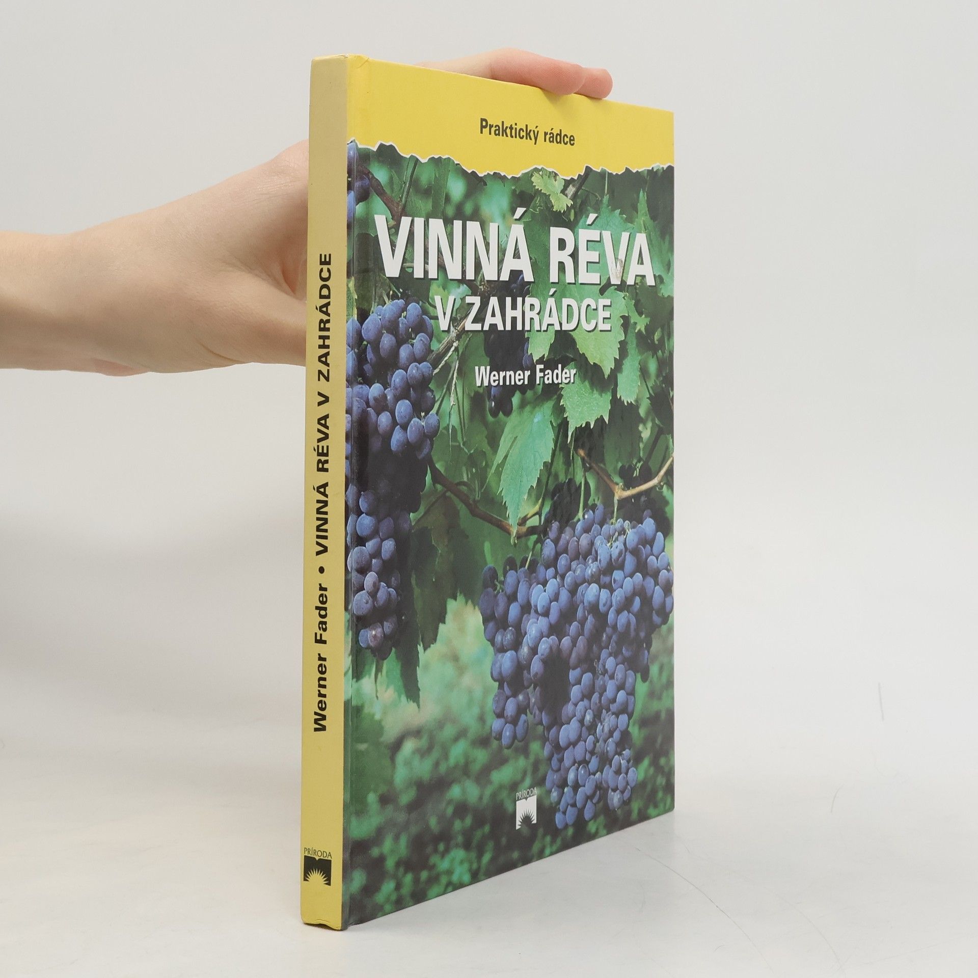 Werner Fader Vinná réva v zahrádce