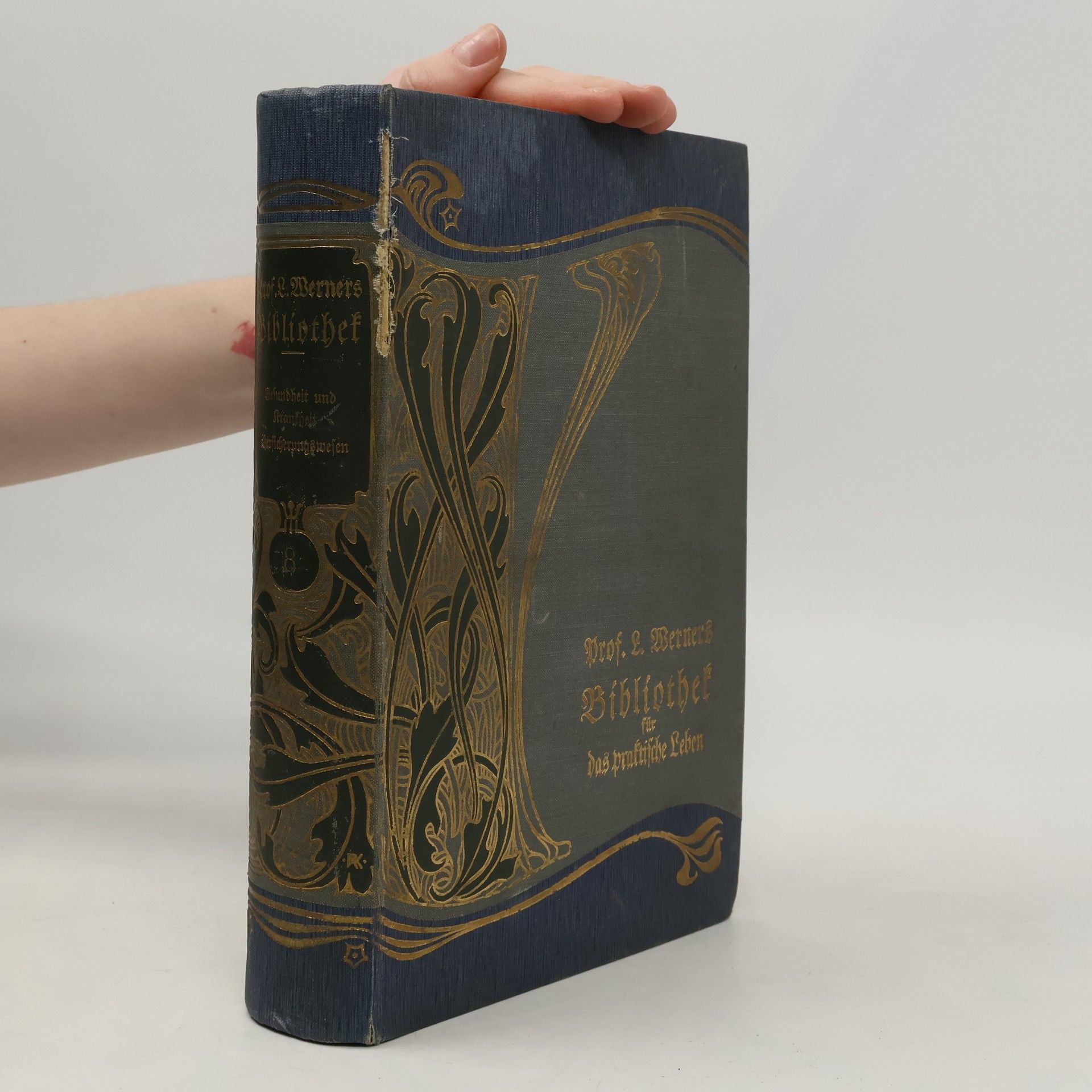 Bibliothek für das praktische Leben. Band VIII.