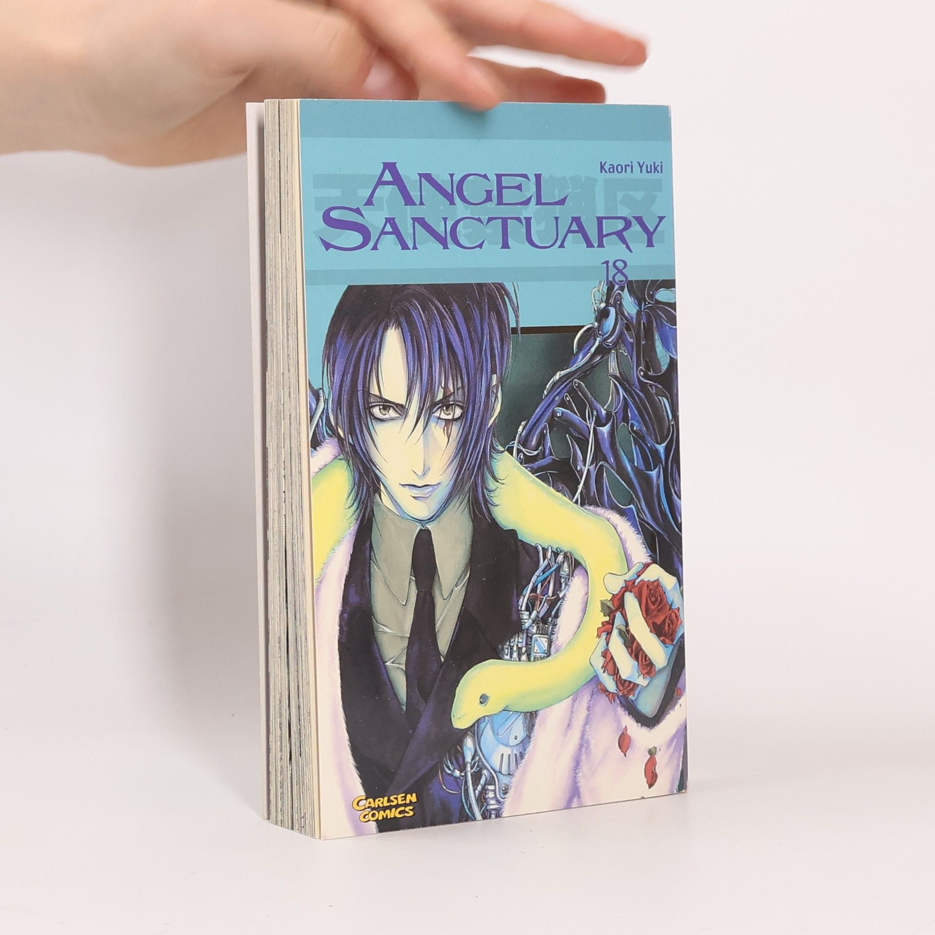 Kaori Yūki Angel Sanctuary 18