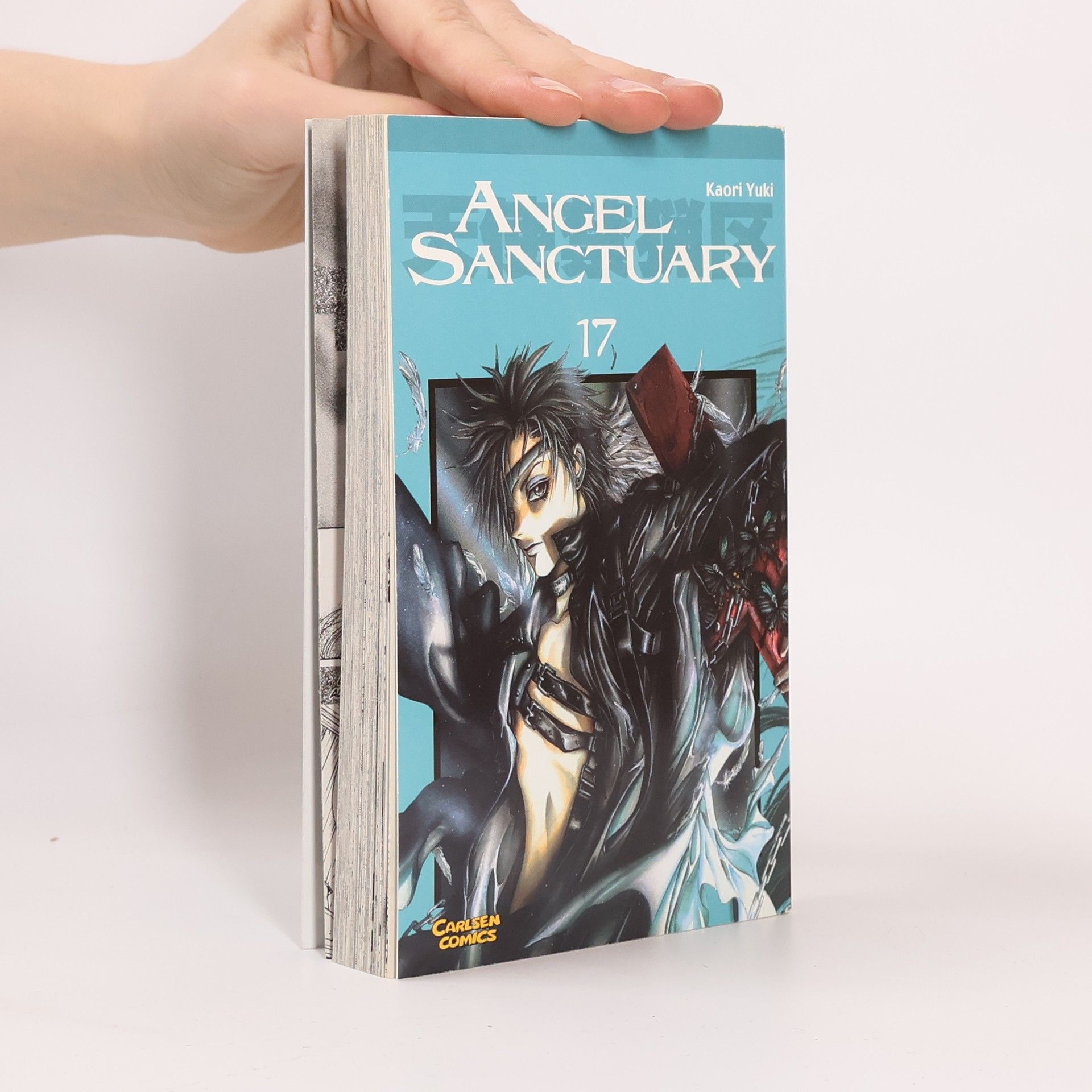 Kaori Yuki Angel Sanctuary 17