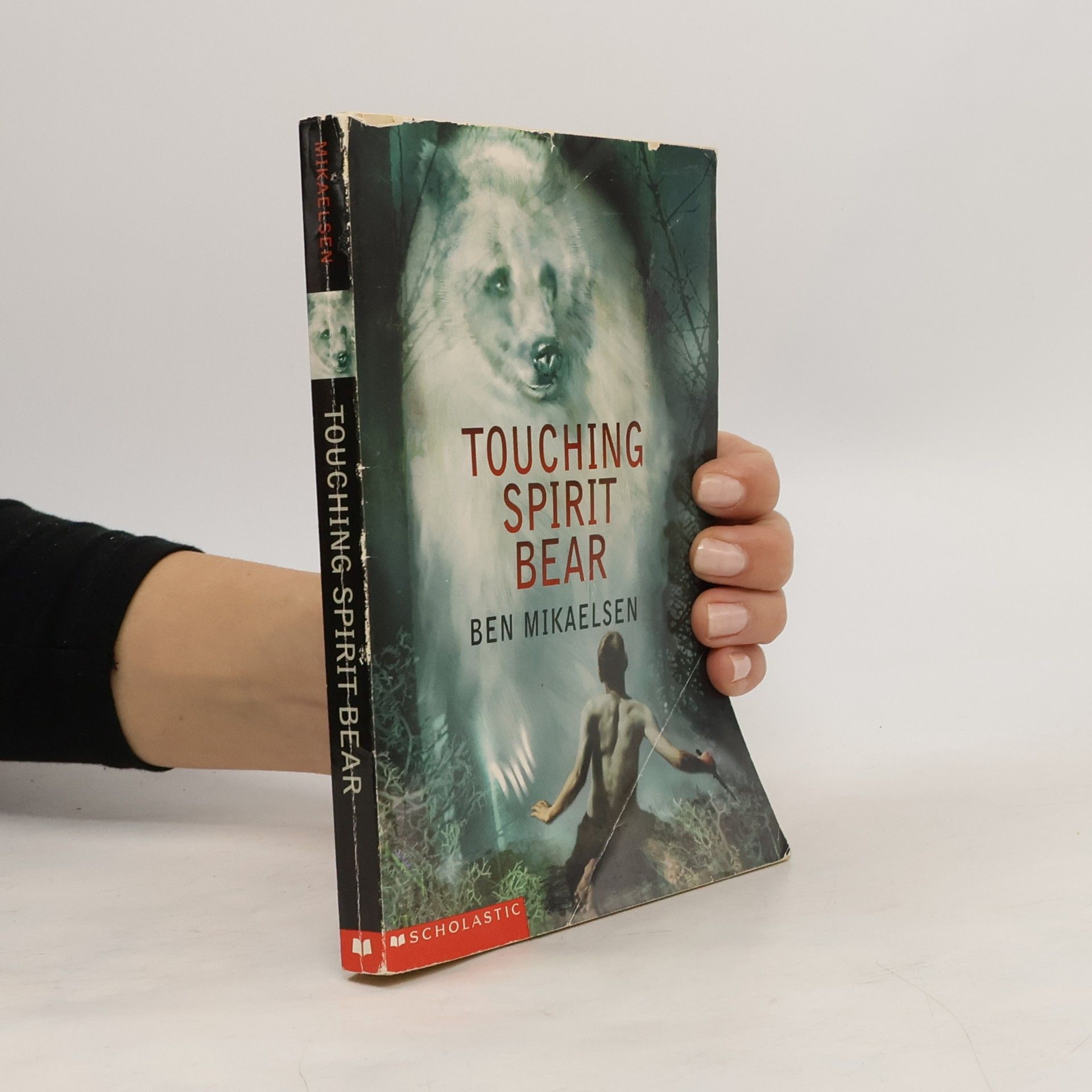 Ben Mikaelsen Touching Spirit Bear