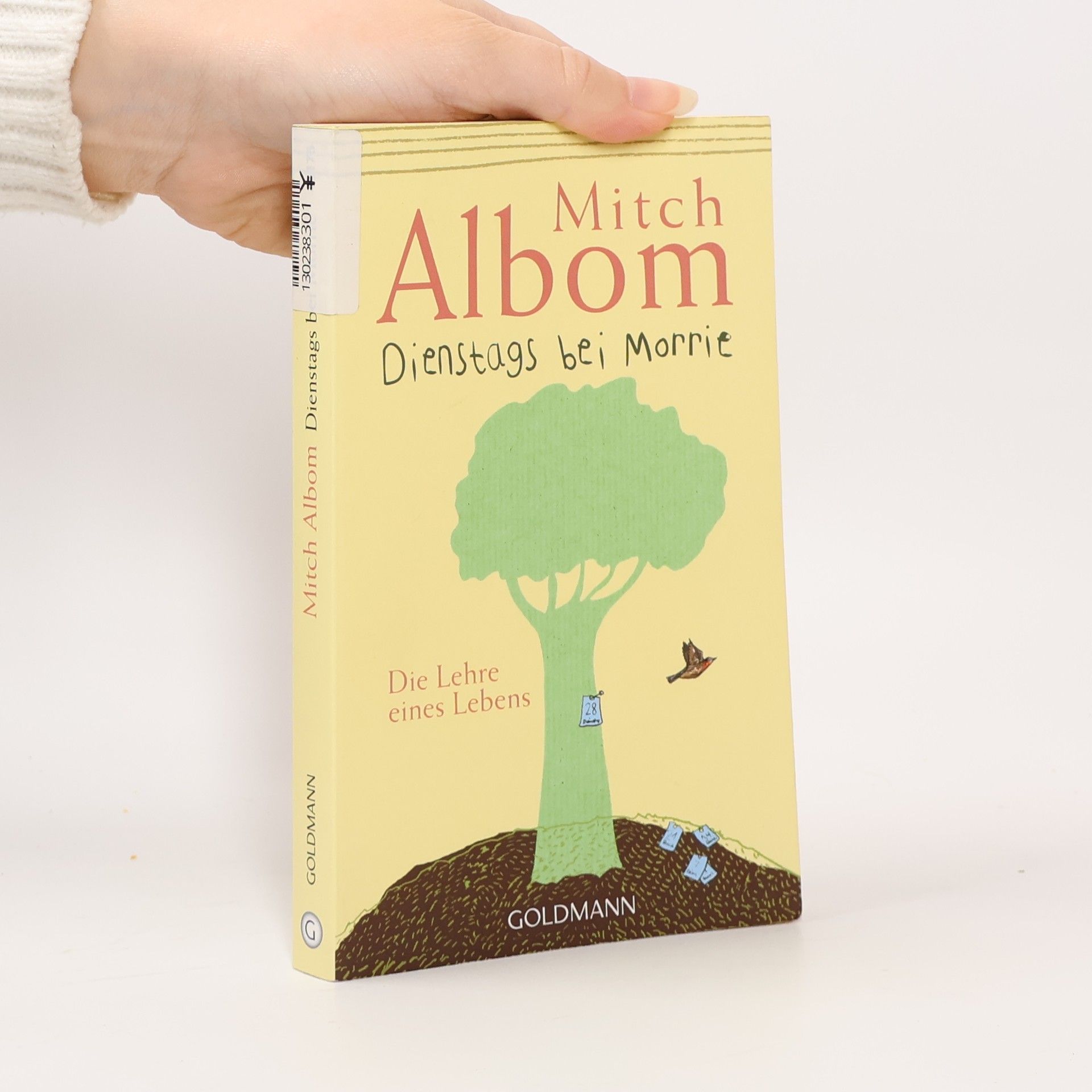 Mitch Albom Dienstags bei Morrie