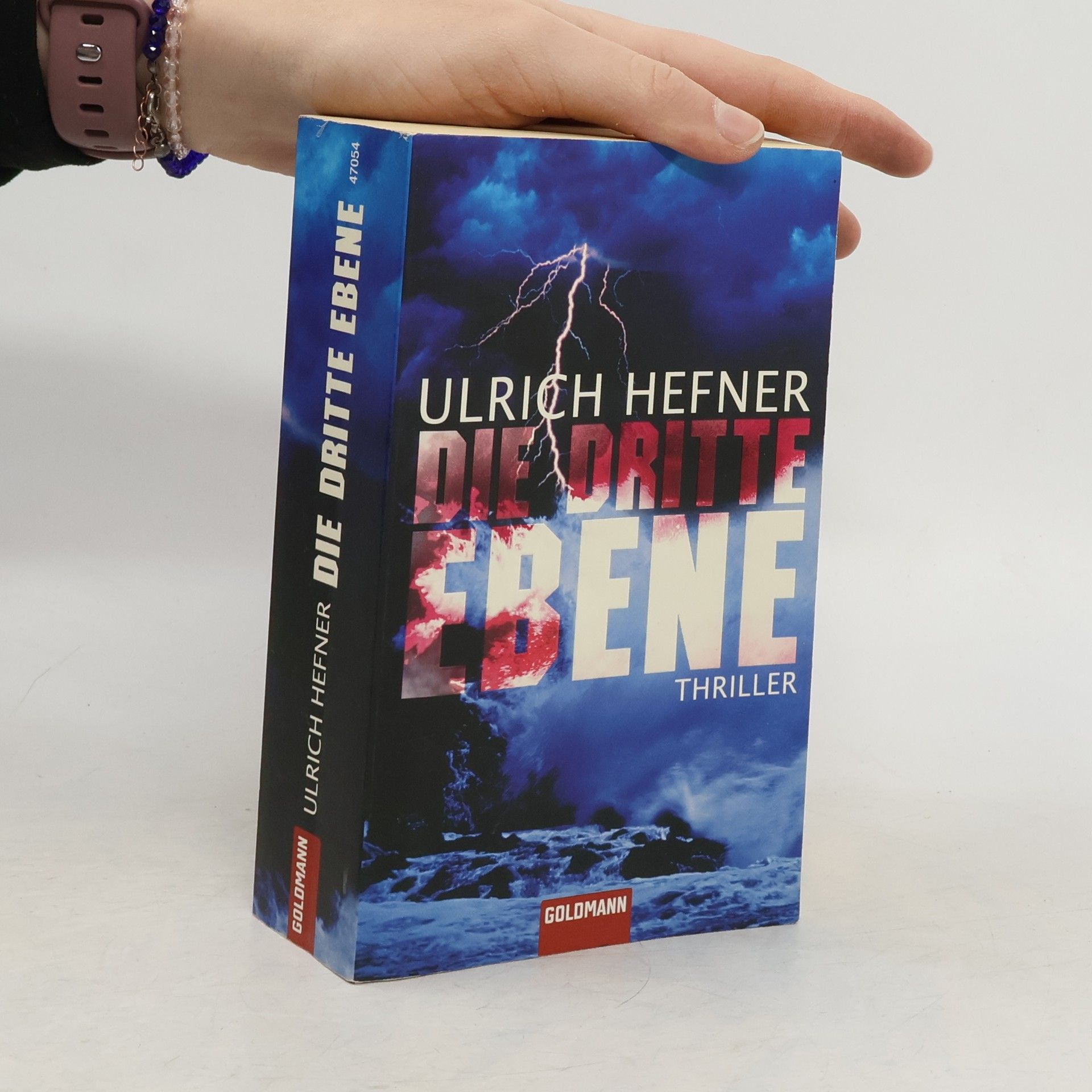Ulrich Hefner Die dritte Ebene