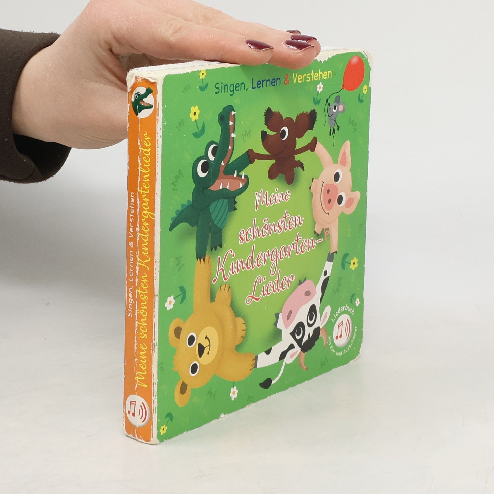 Autorenkollektiv Meine schönsten Kinderlieder