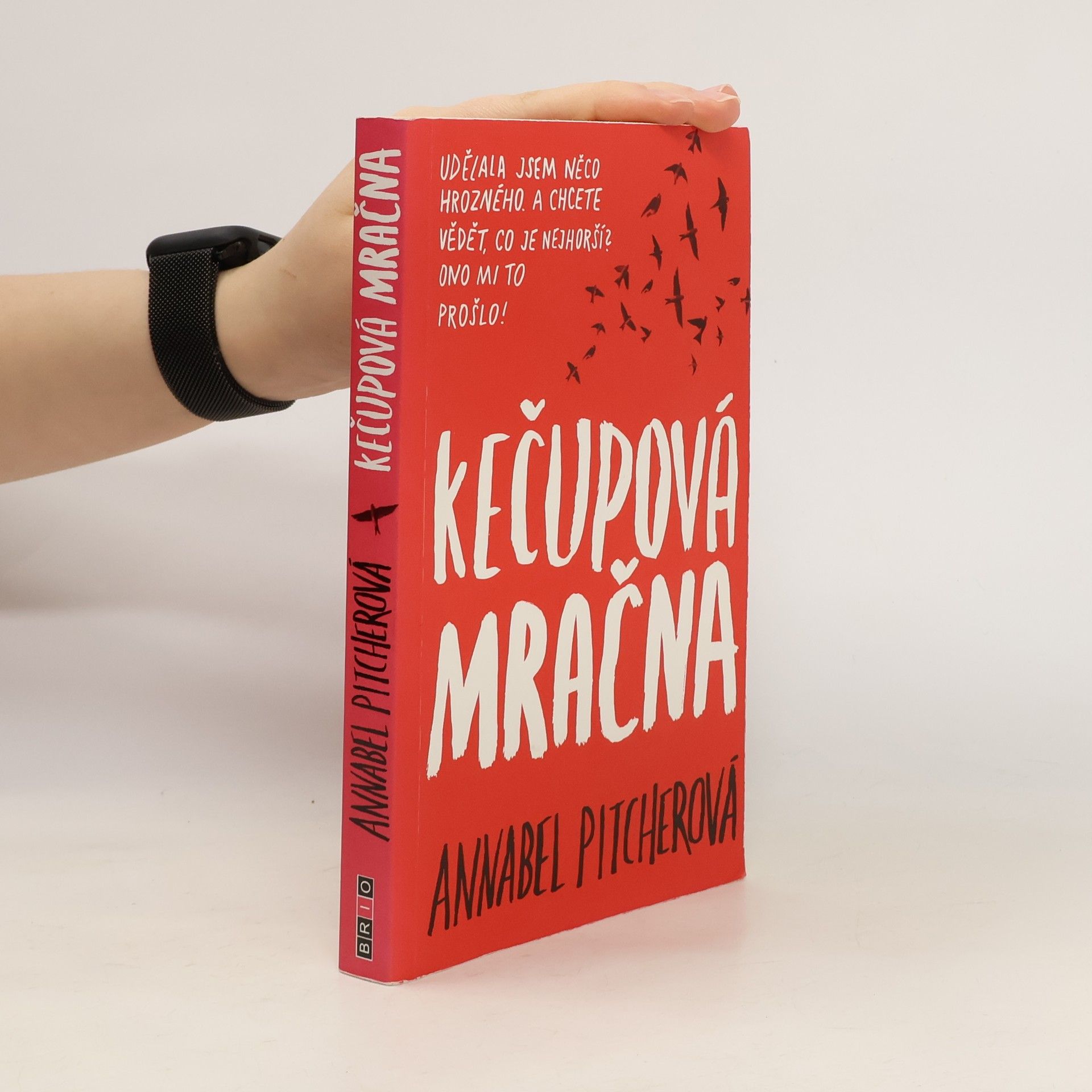 Annabel Pitcher Kečupová mračna