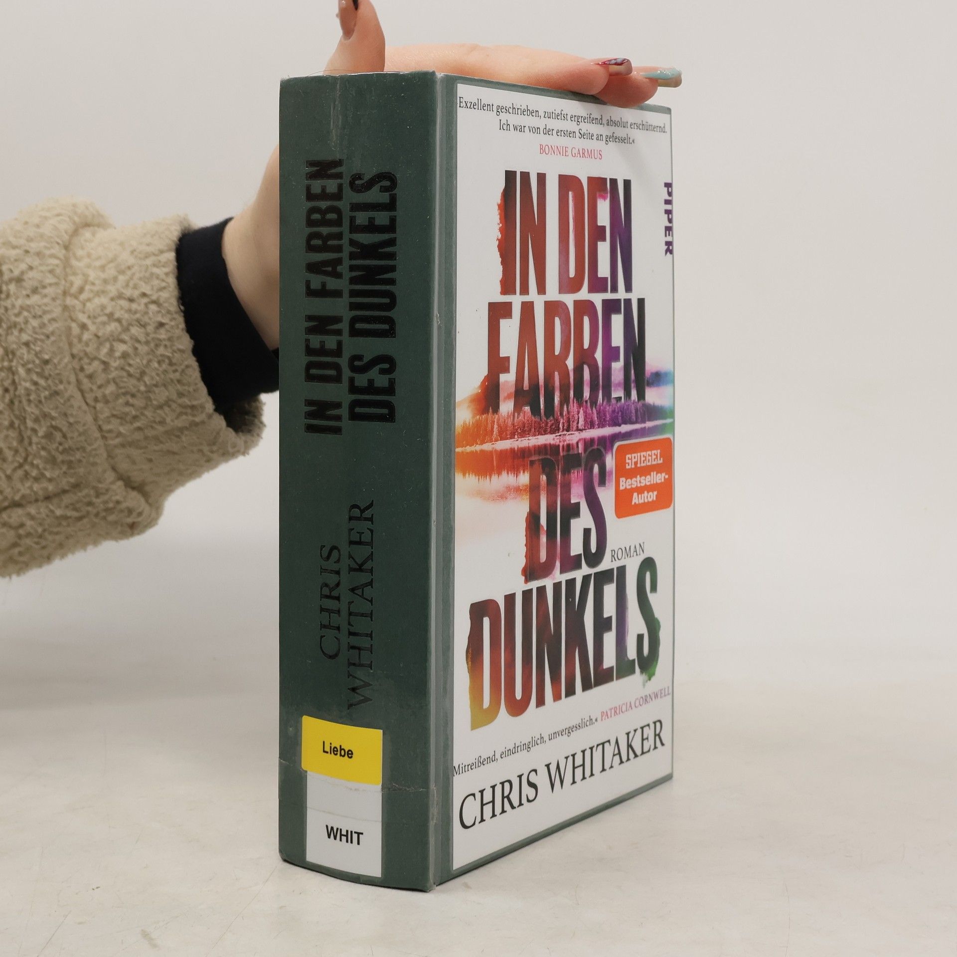 Chris Whitaker In den Farben des Dunkels