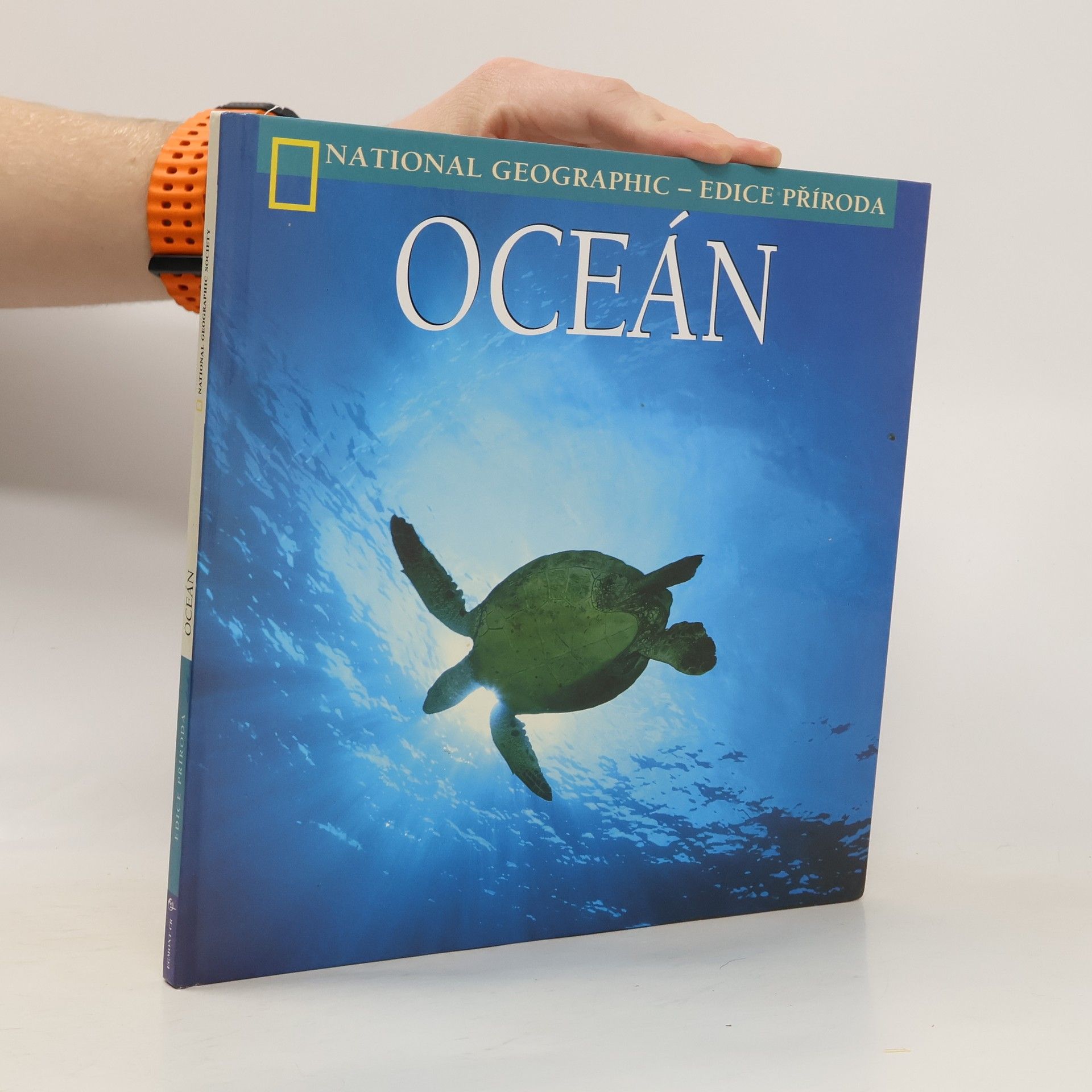 Patricia Daniels Oceán