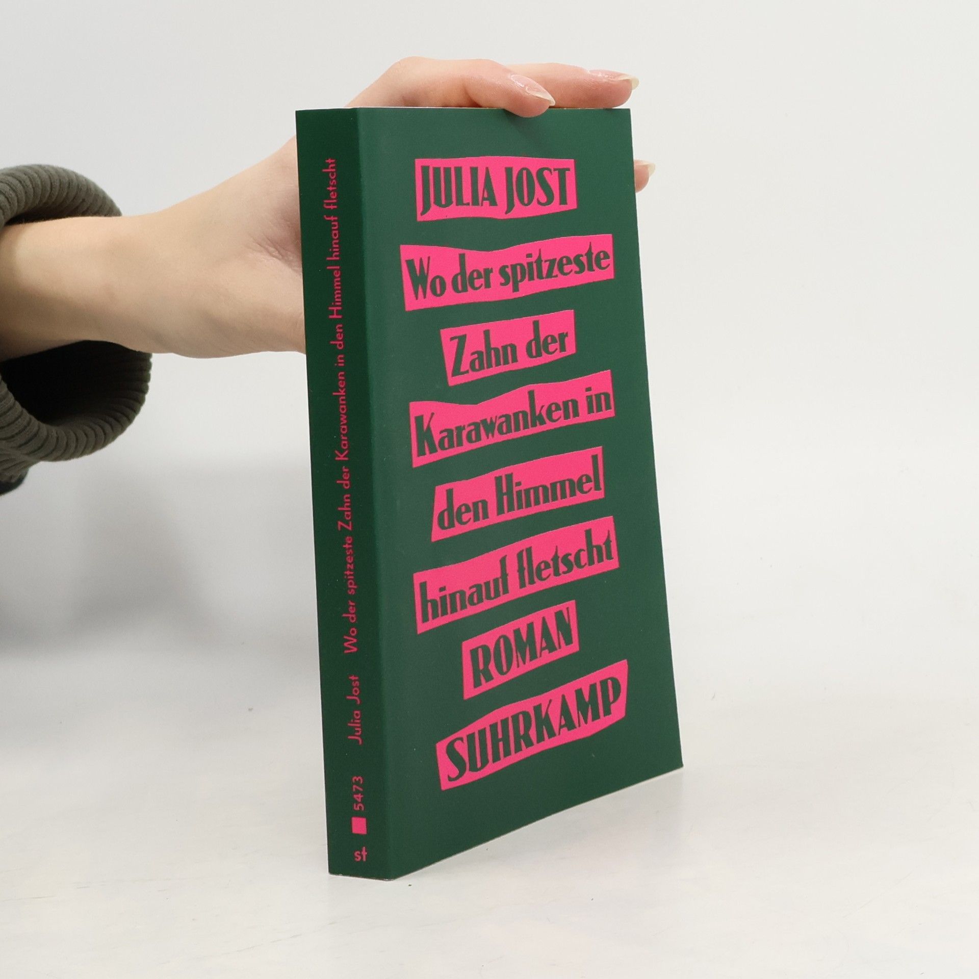 Julia Jost Wo der spitzeste Zahn der Karawanken in den Himmel hinauf fletscht