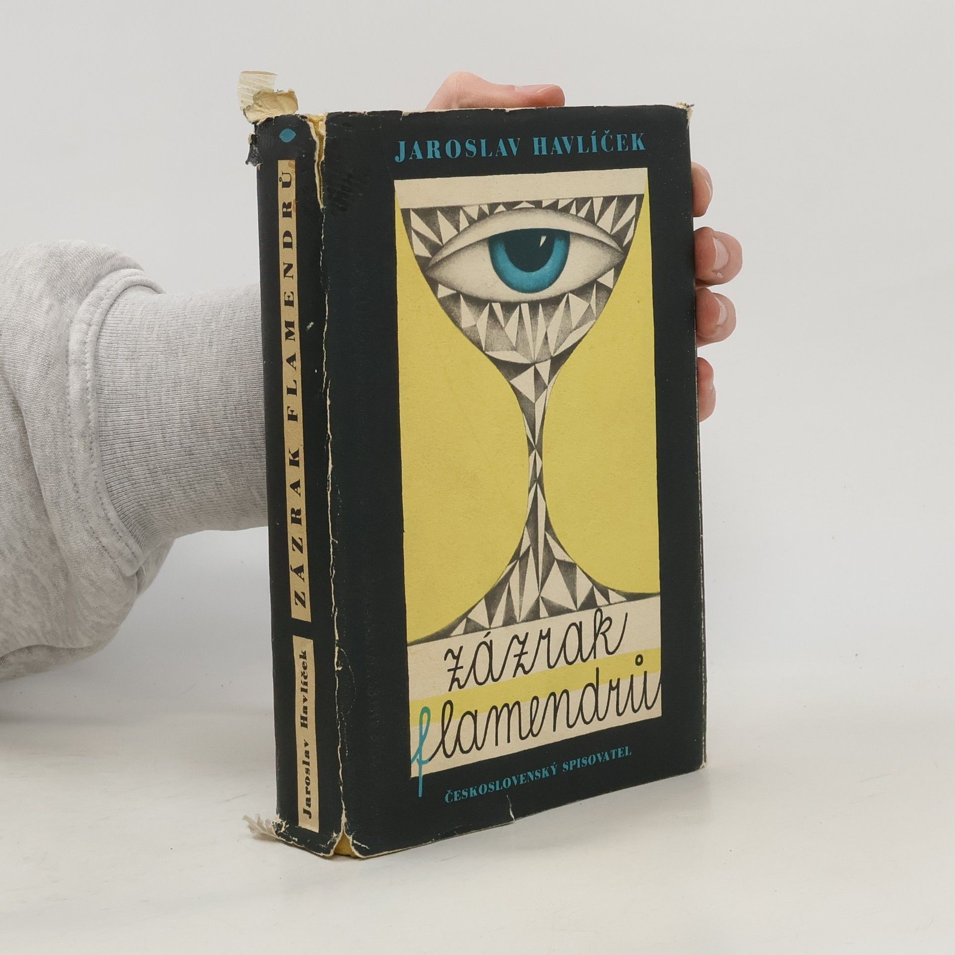 Jaroslav Havlíček Zázrak flamendrů