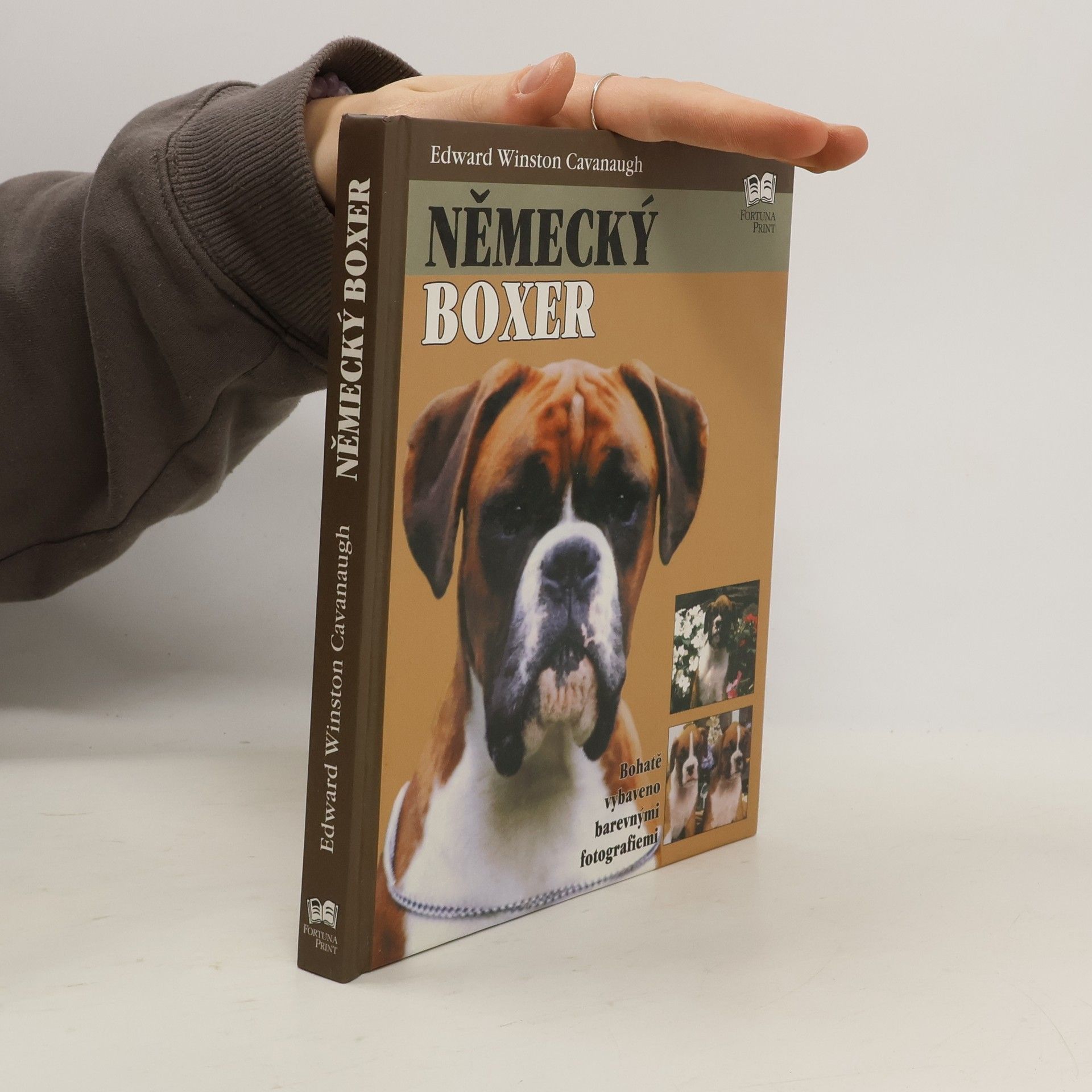 Edward Winston Cavanaugh Německý boxer