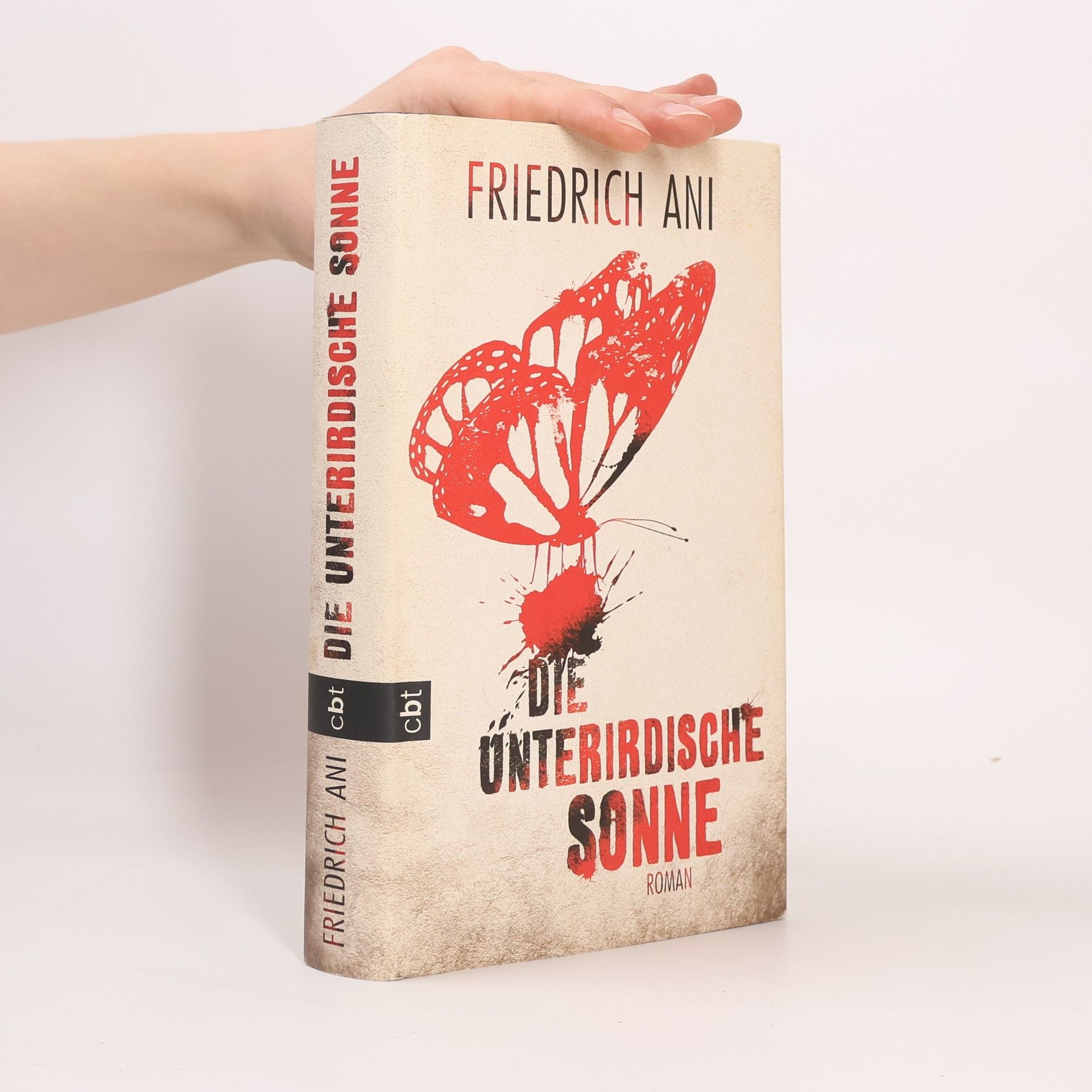 Friedrich Ani Die unterirdische Sonne