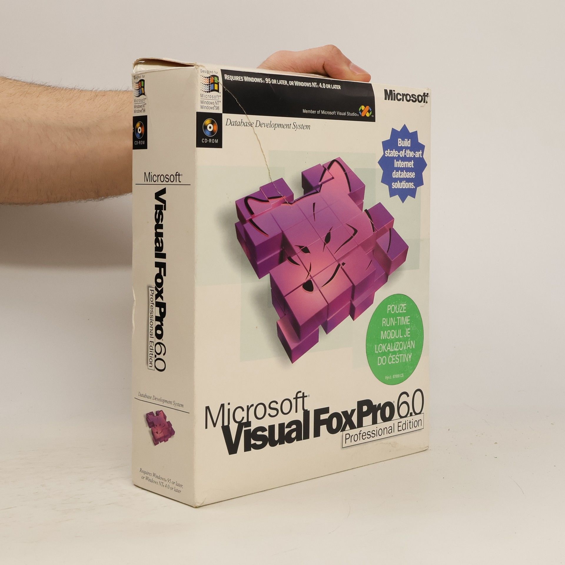 Kolektiv autorů Microsoft Visual FoxPro 6.0. Professional Edition