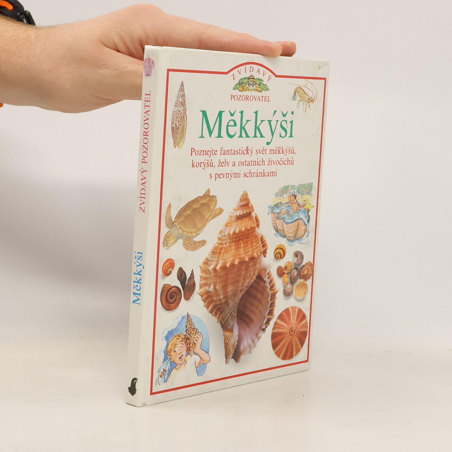 Jennifer Coldrey Měkkýši