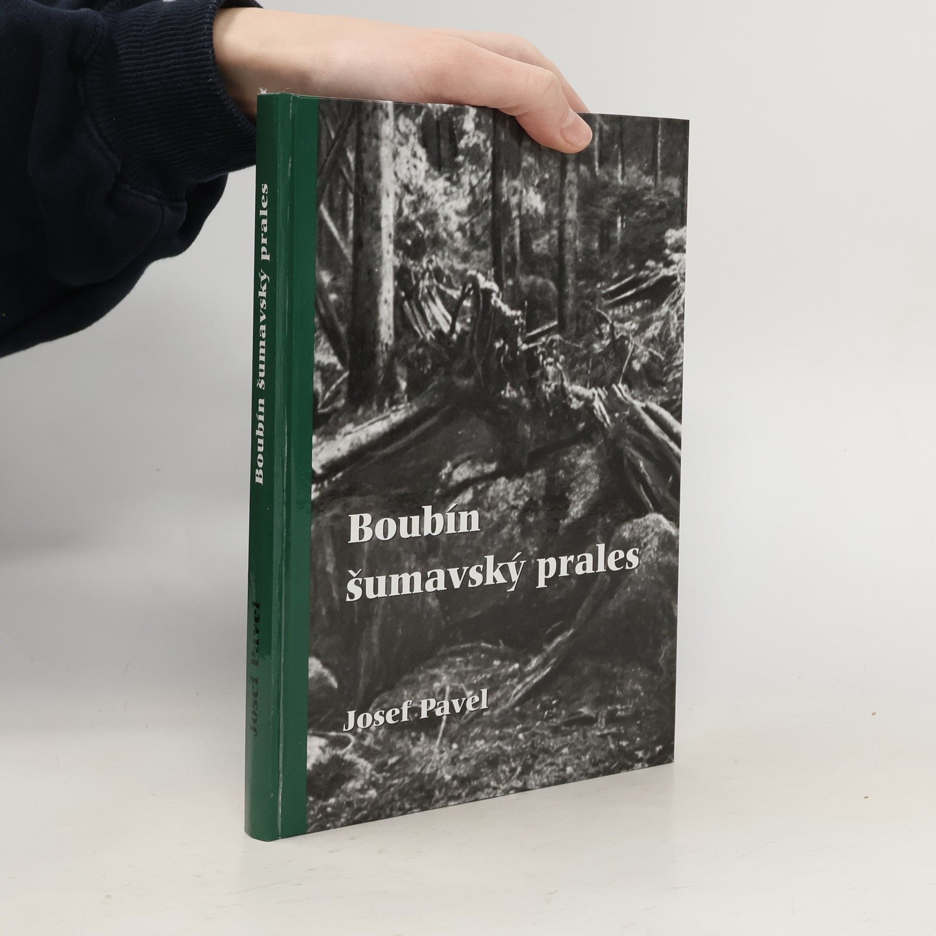 Boubín, šumavský prales