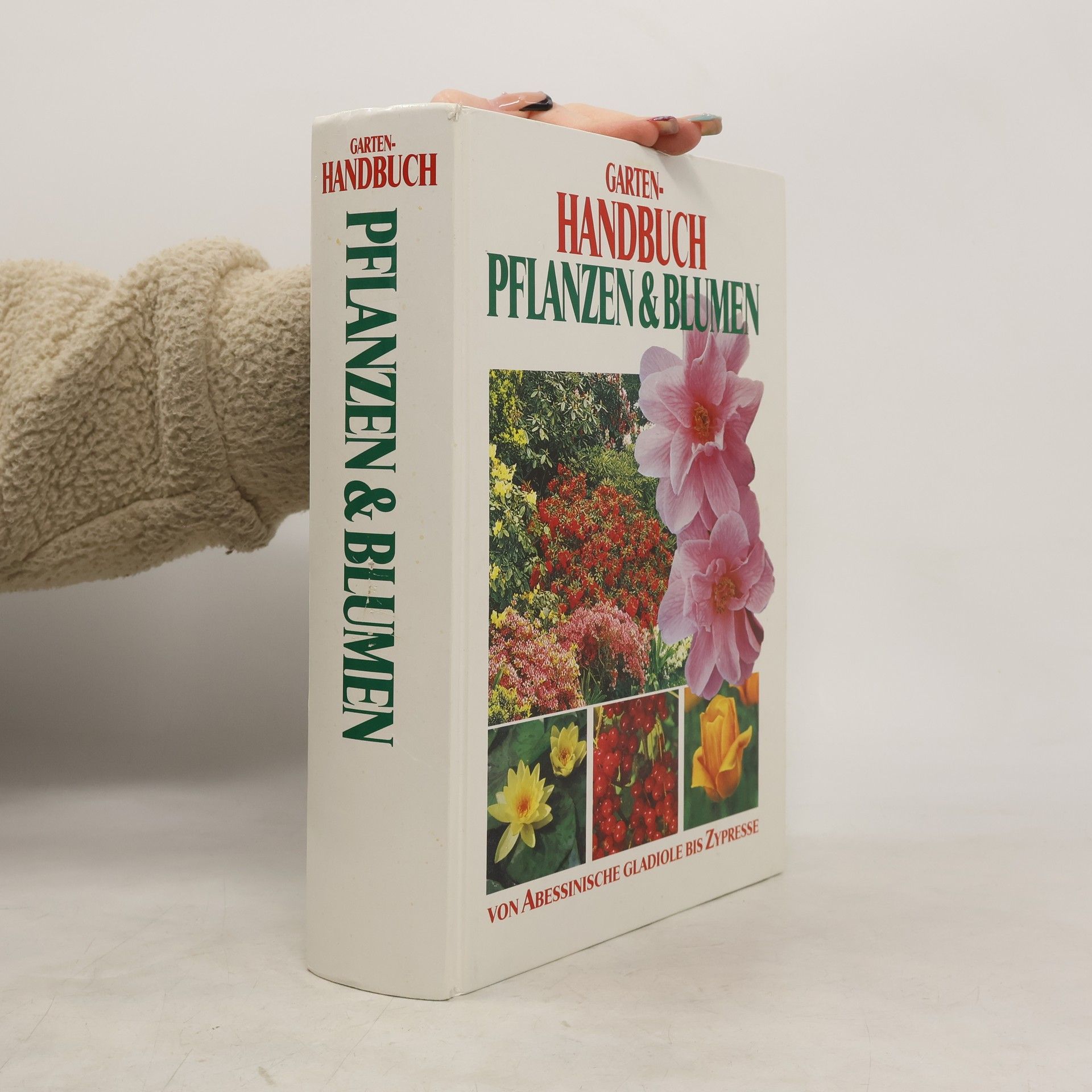 Autorenkollektiv Garten-Handbuch Pflanzen & Blumen