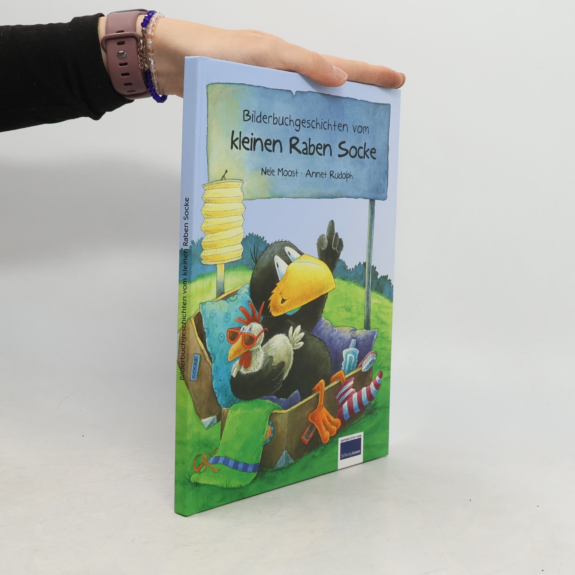Nele Moost Bilderbuchgeschichten vom kleinen Raben Socke