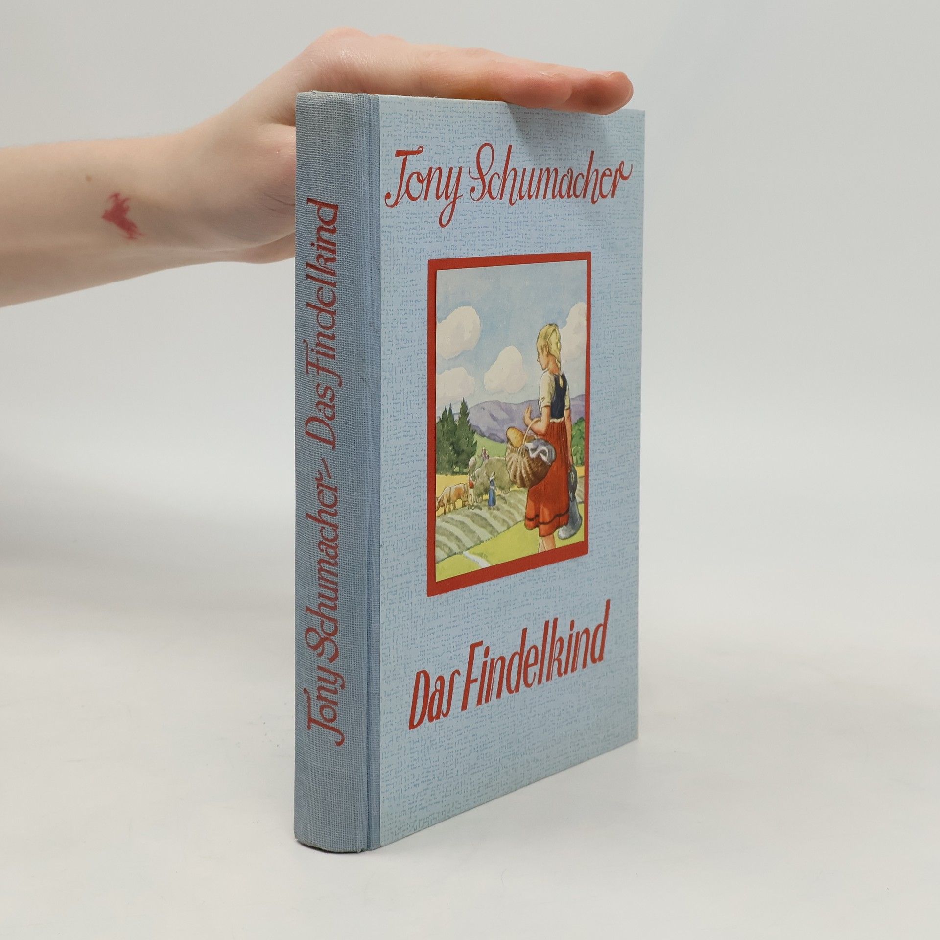 Tony Schumacher Das Findelkind