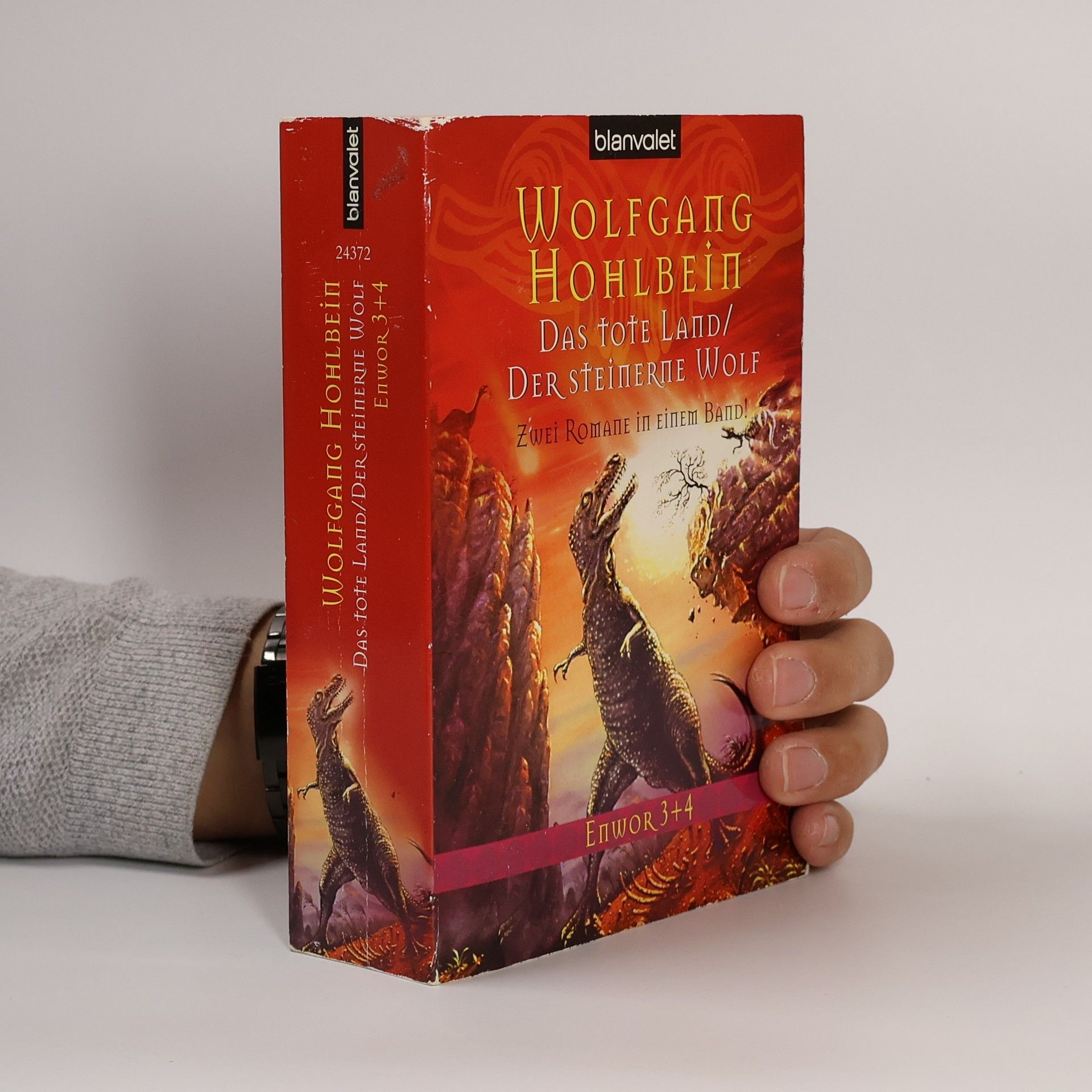 Wolfgang Hohlbein Das tote Land. Der steinerne Wolf