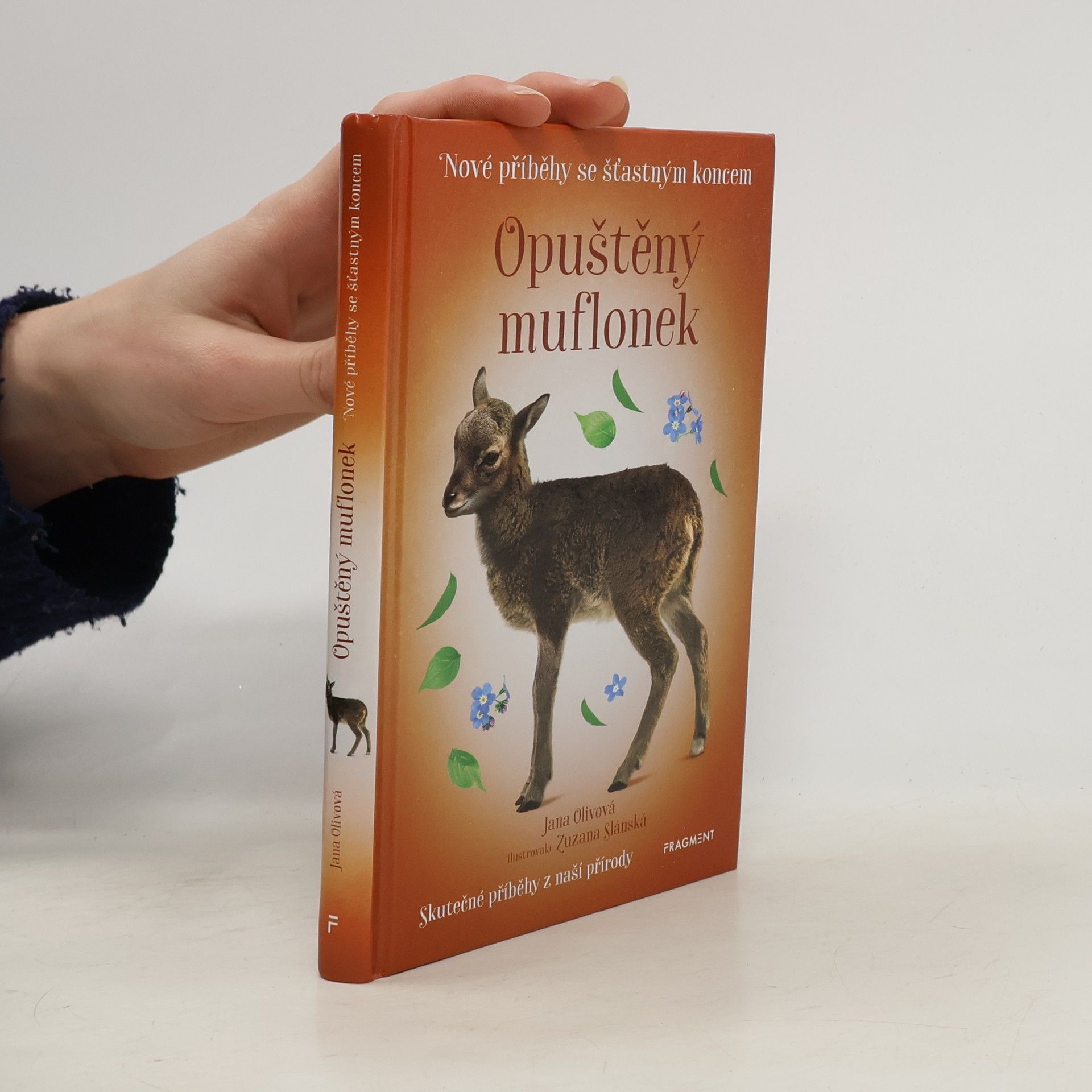 Opuštěný muflonek