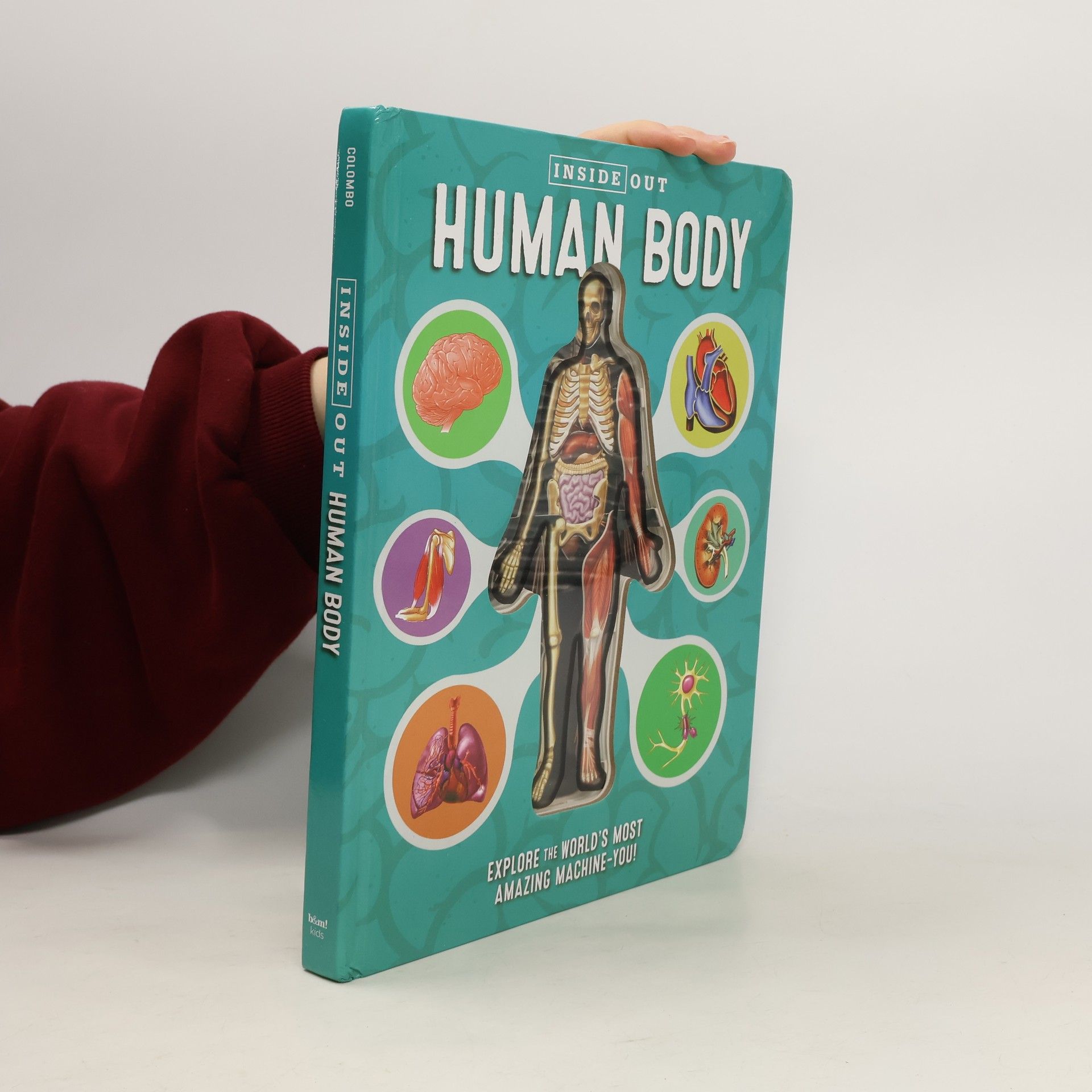Inside Out Human Body