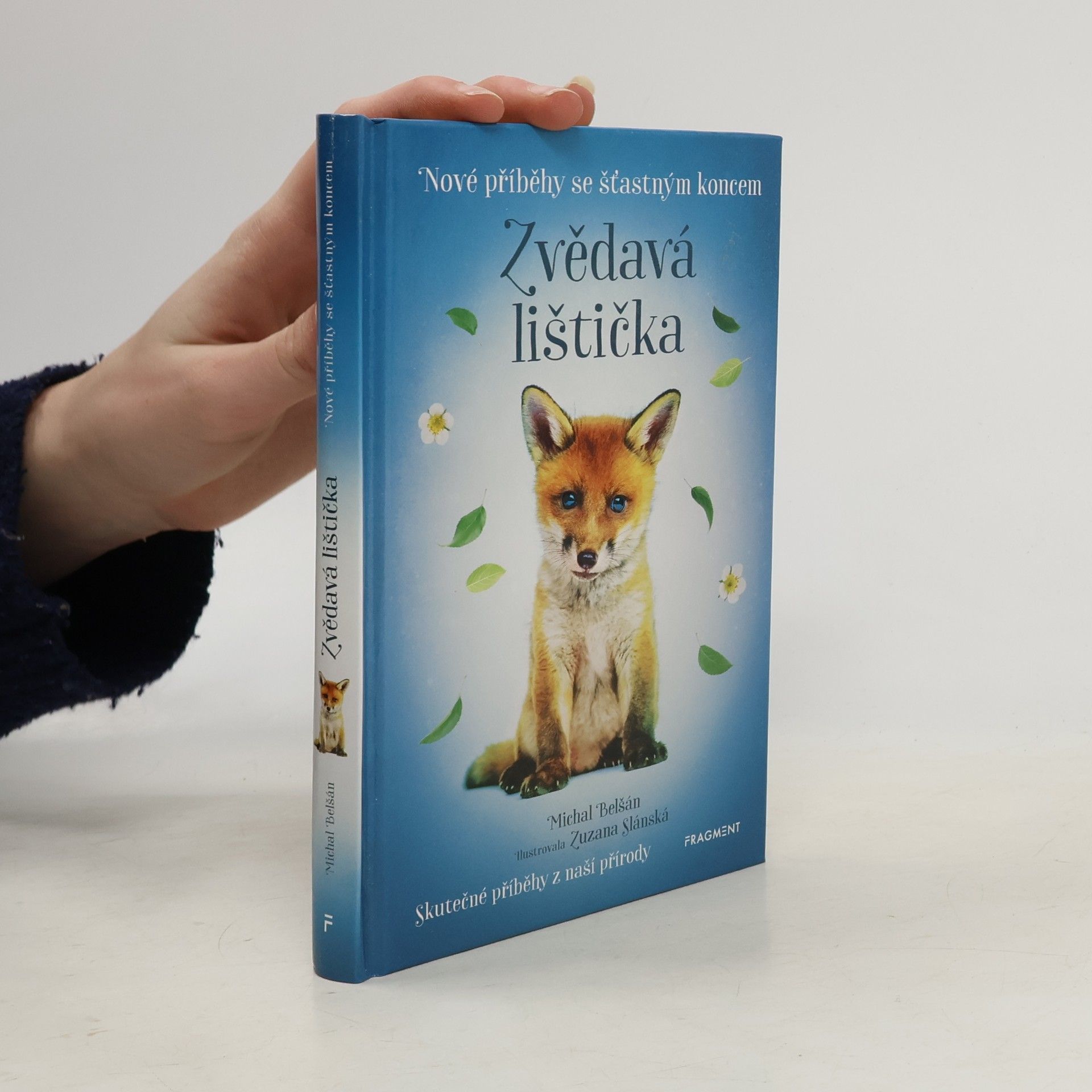 Michal Belšán Zvědavá lištička