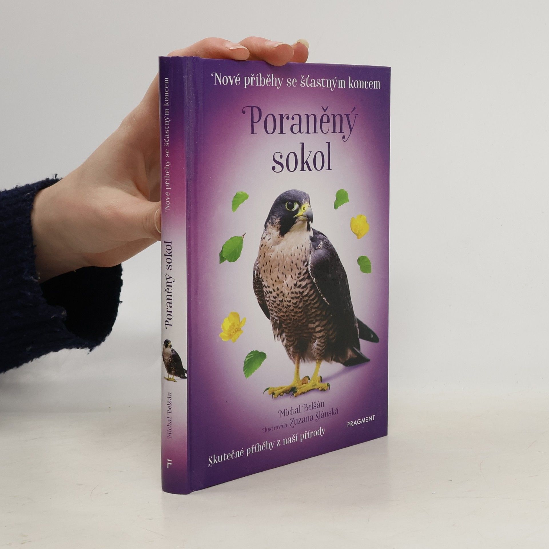 Michal Belšán Poraněný sokol