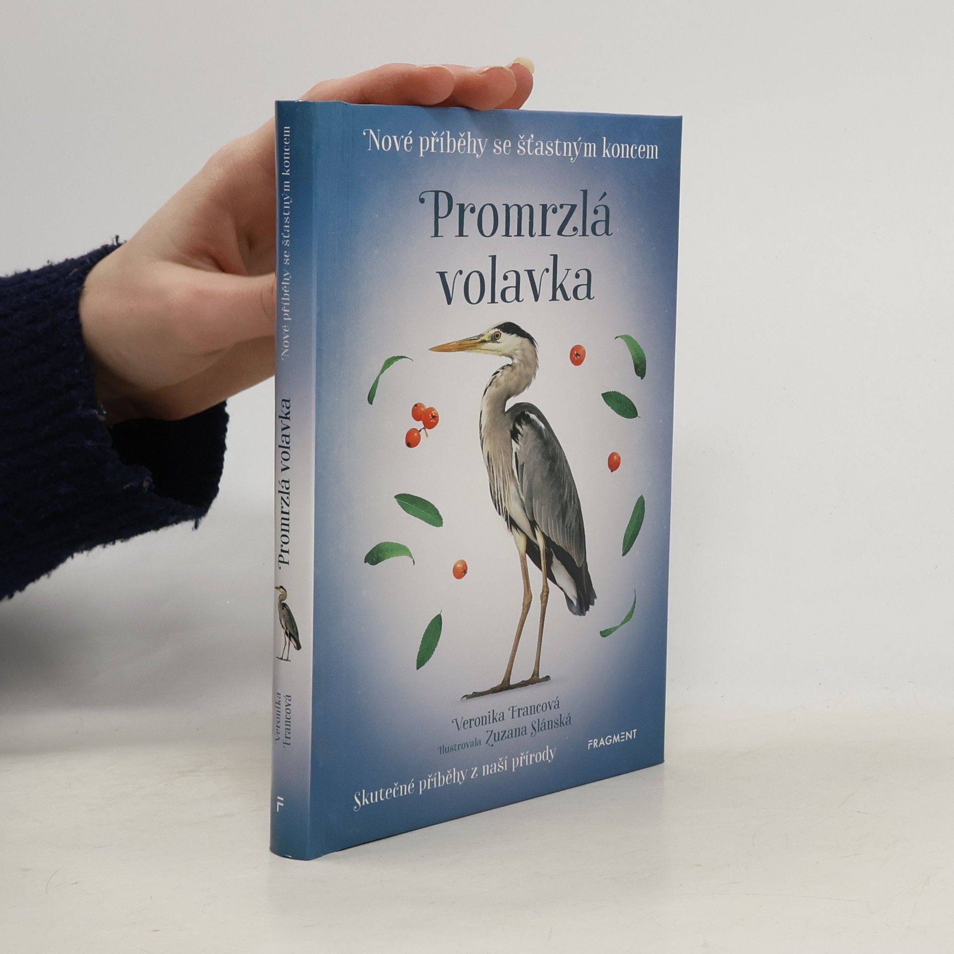 Veronika Francová Promrzlá volavka