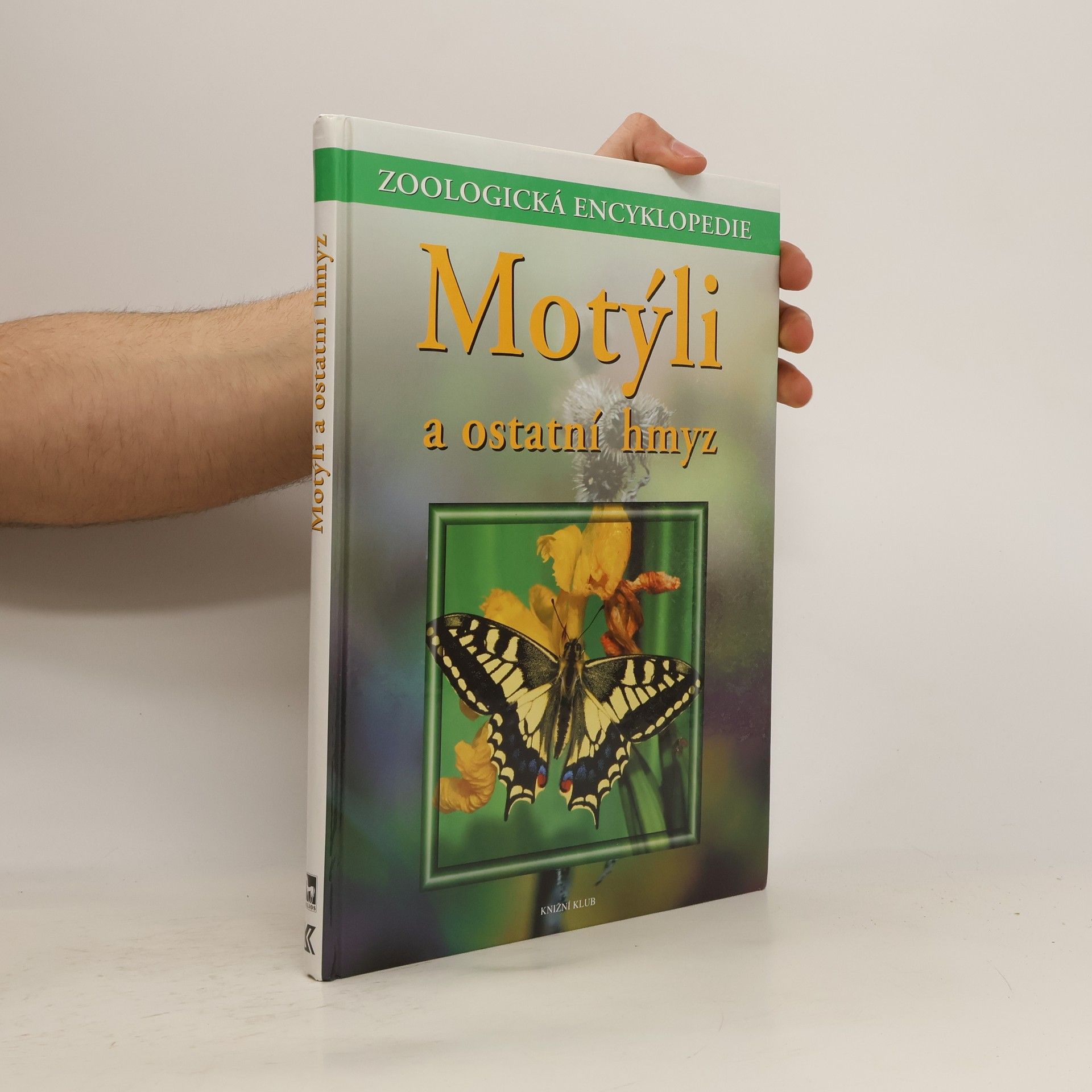 Motýli a ostatní hmyz