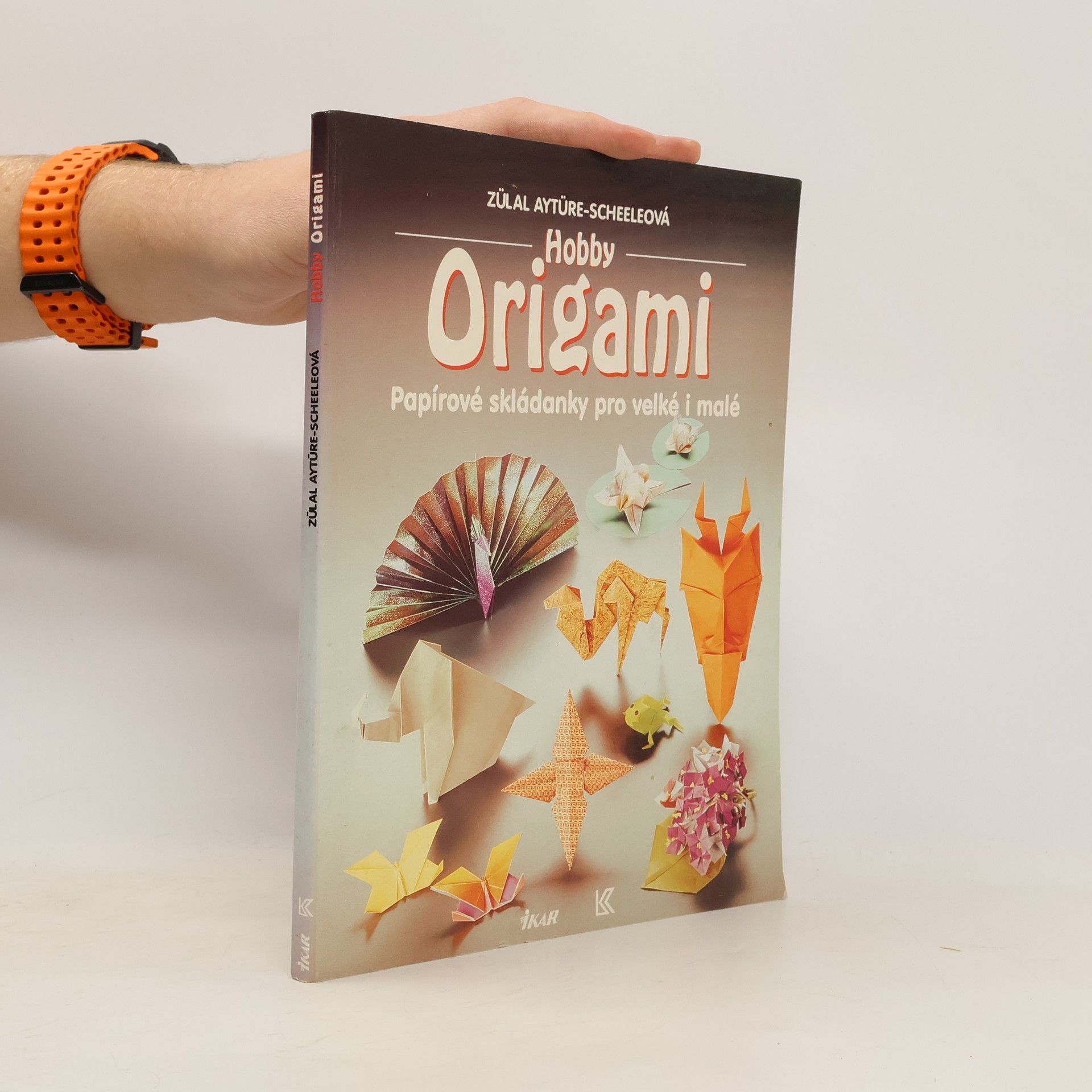 Zülal AytüreScheele Hobby origami