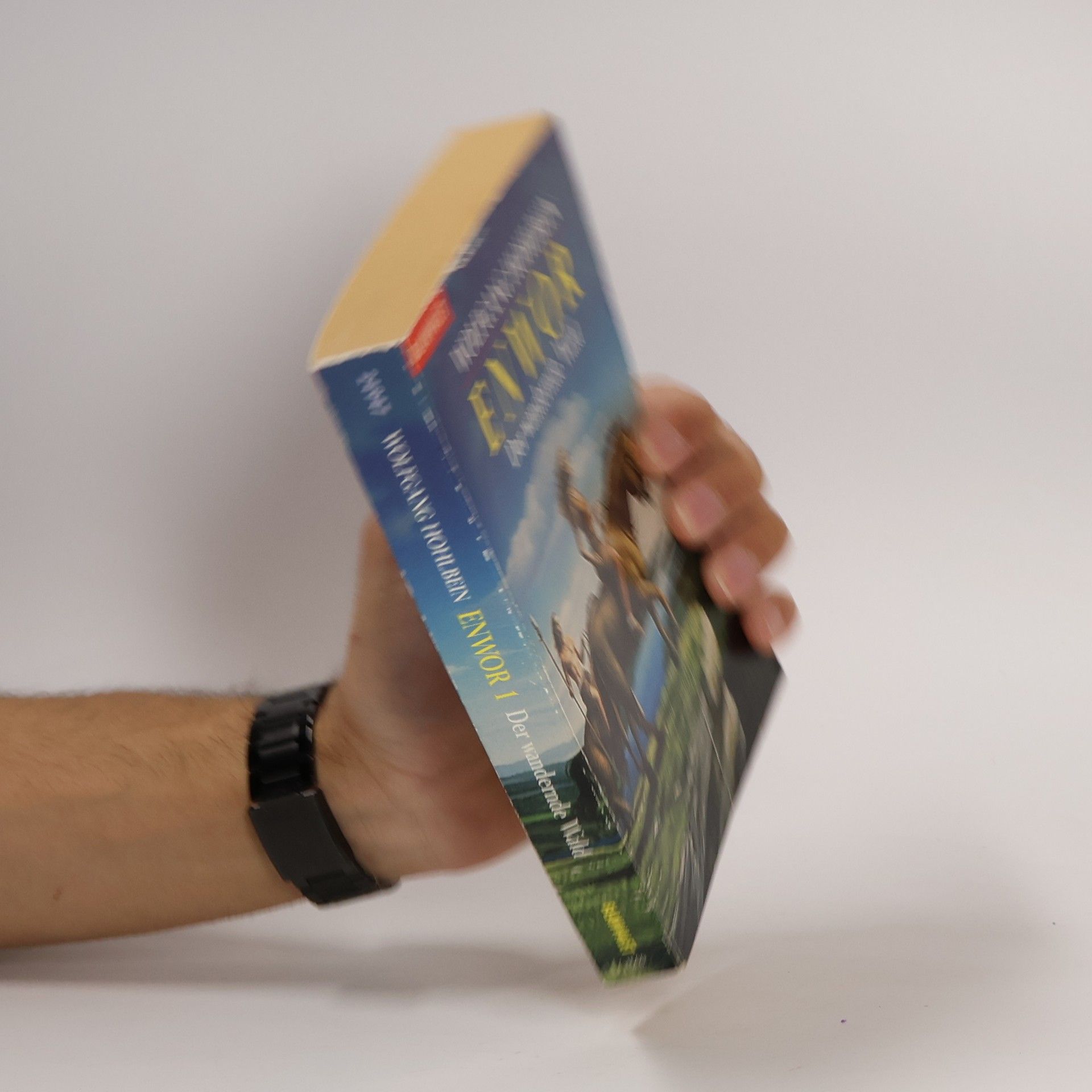 Wolfgang Hohlbein Enwor 1