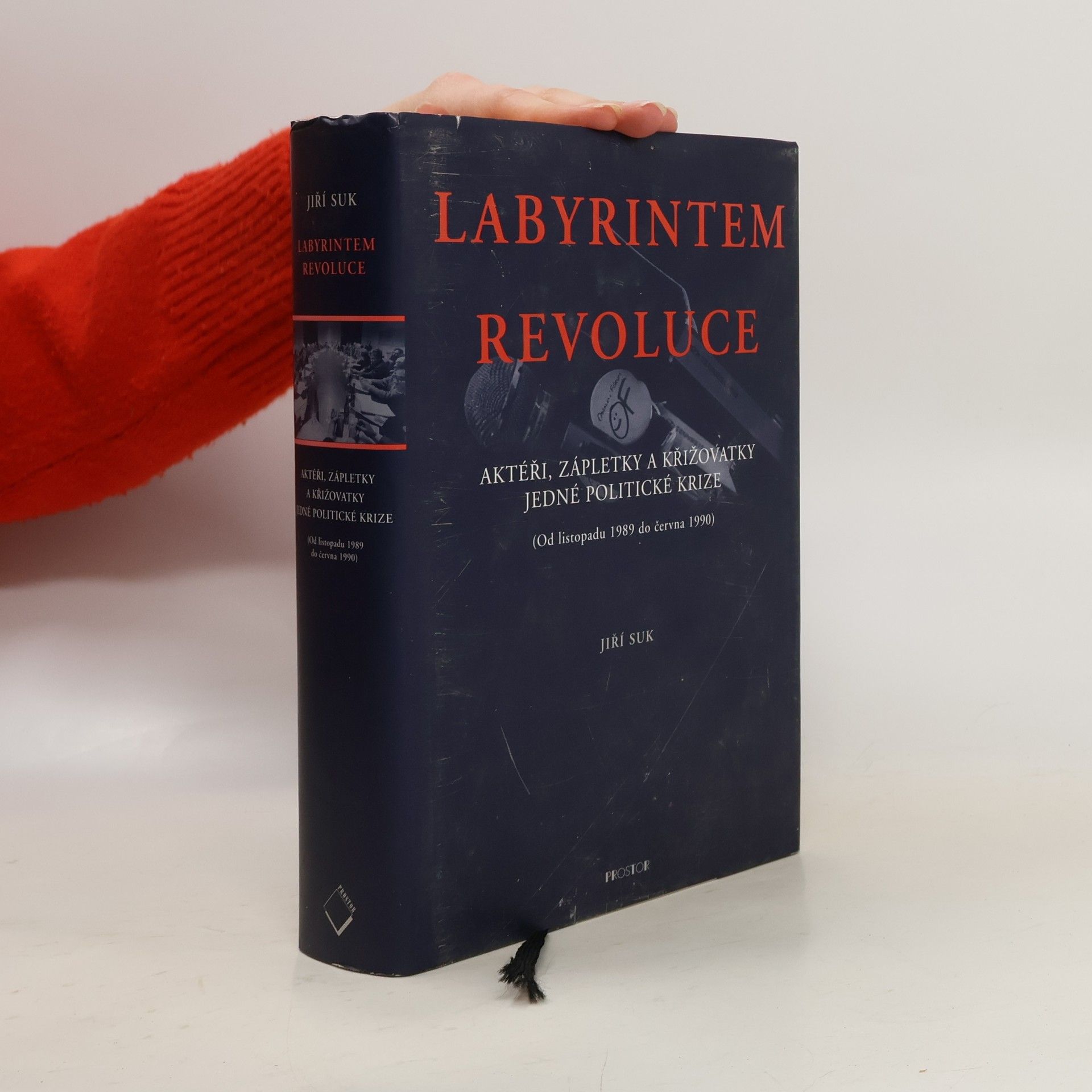 Labyrintem revoluce. Aktéři, zápletky a křižovatky jedné politické krize (od listopadu 1989 do června 1990)