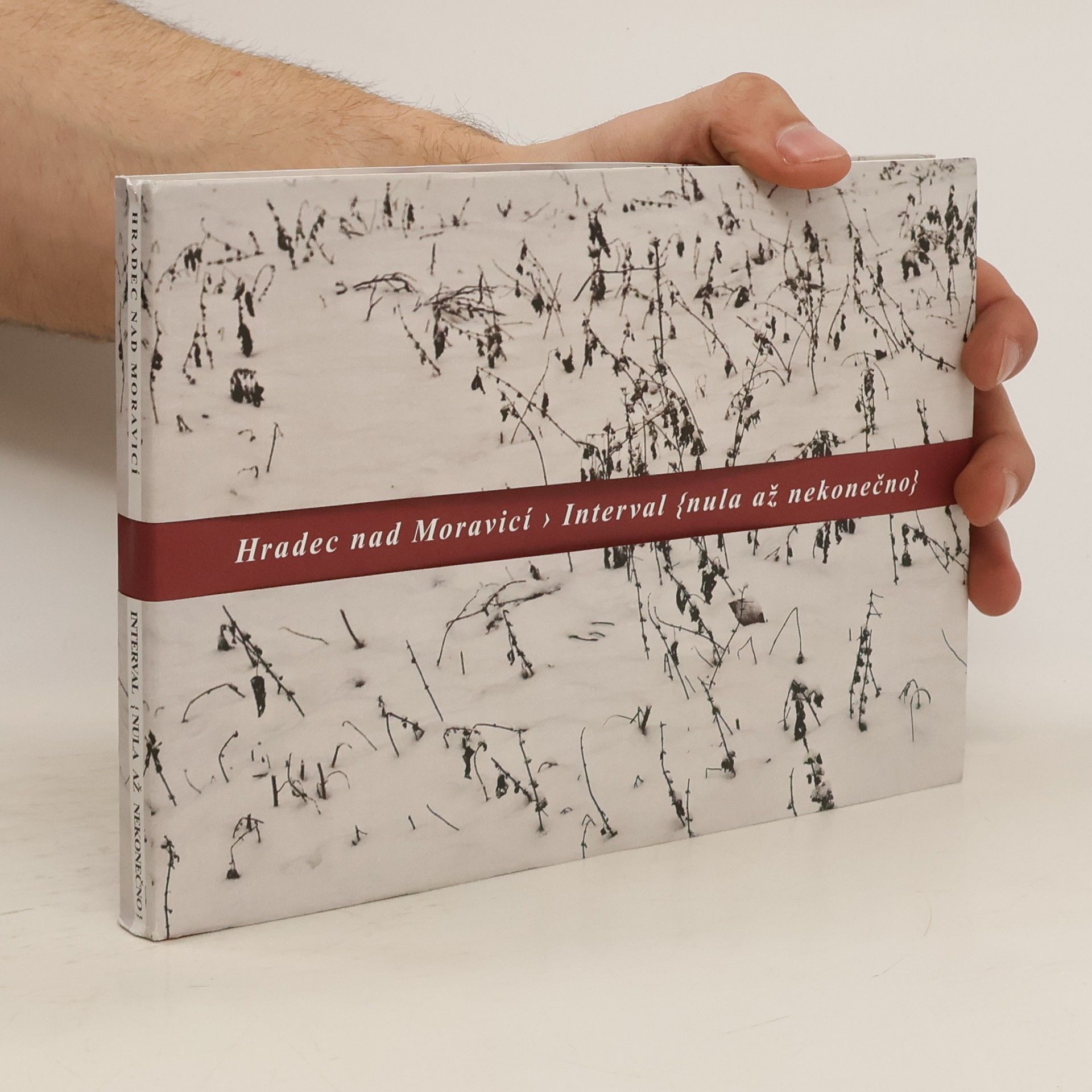 Vít Slíva Hradec nad Moravicí: Interval (nula až nekonečno)