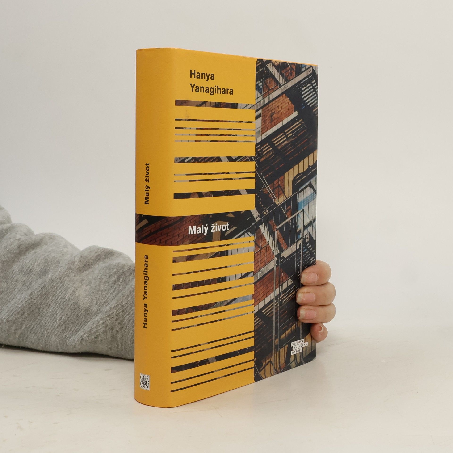 Hanya Yanagihara Malý život