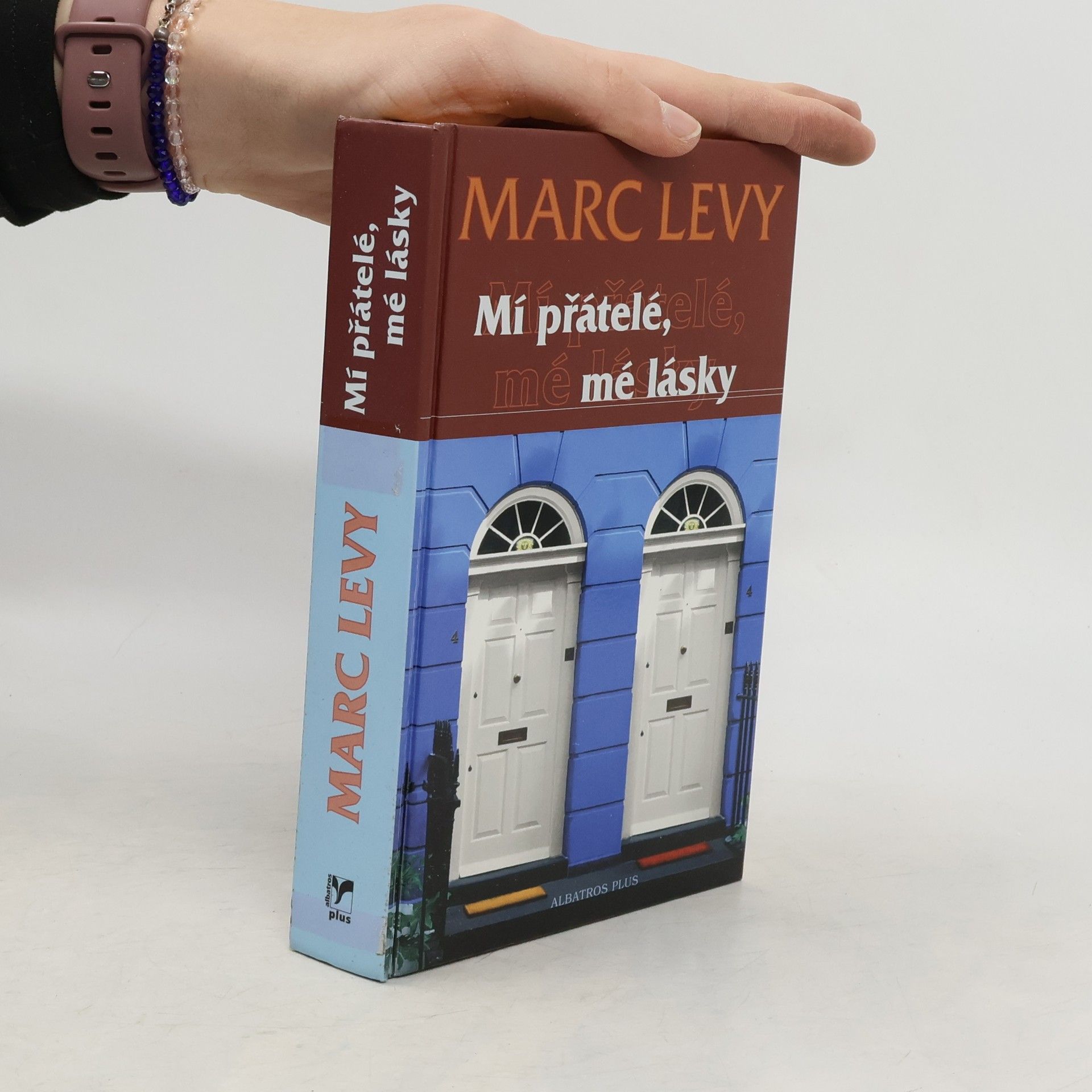 Marc Lévy Mí přátelé, mé lásky