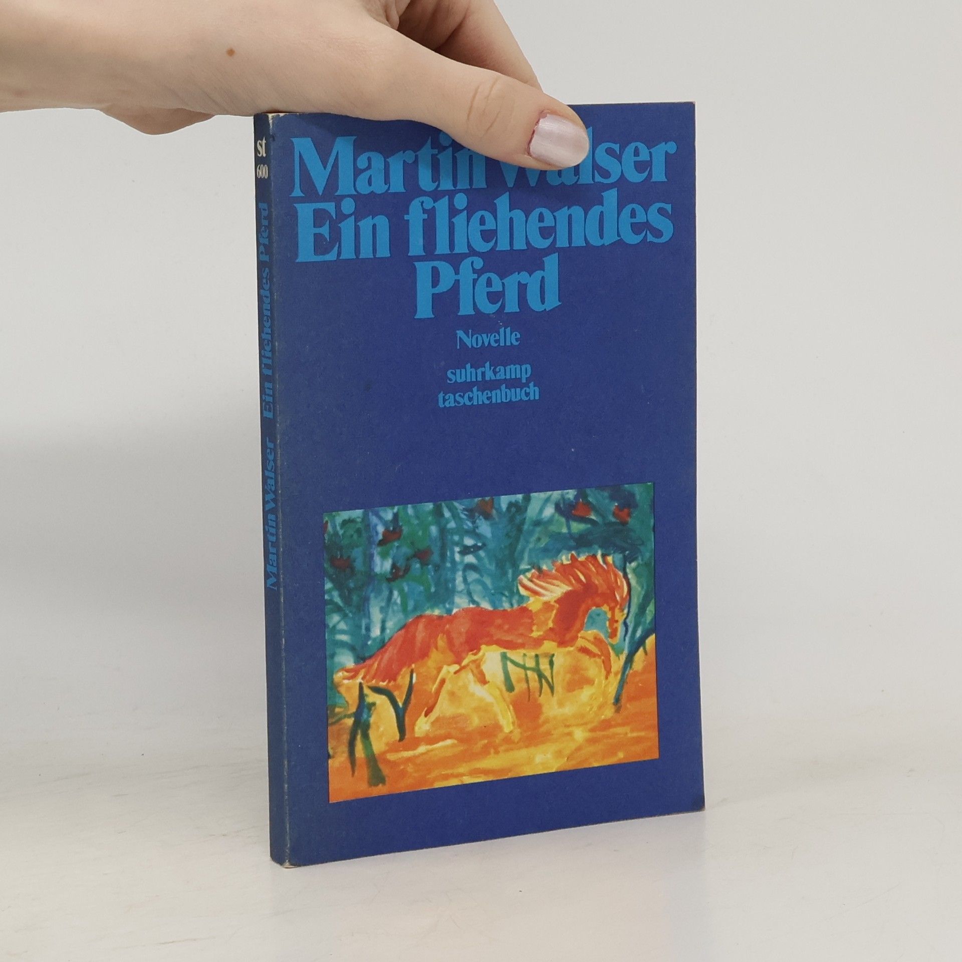 Martin Johannes Walser Ein fliehendes Pferd