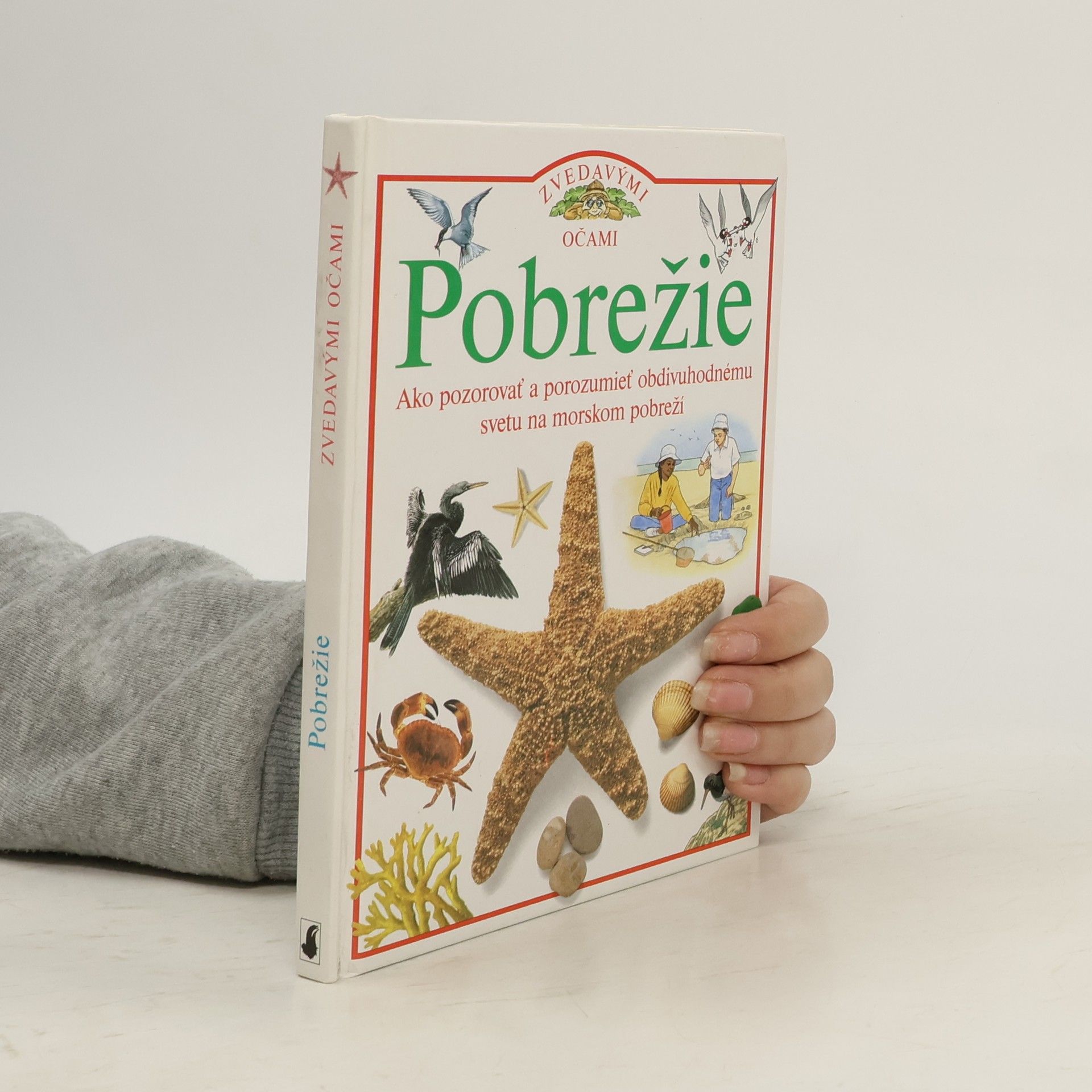 David Burnie Pobrežie