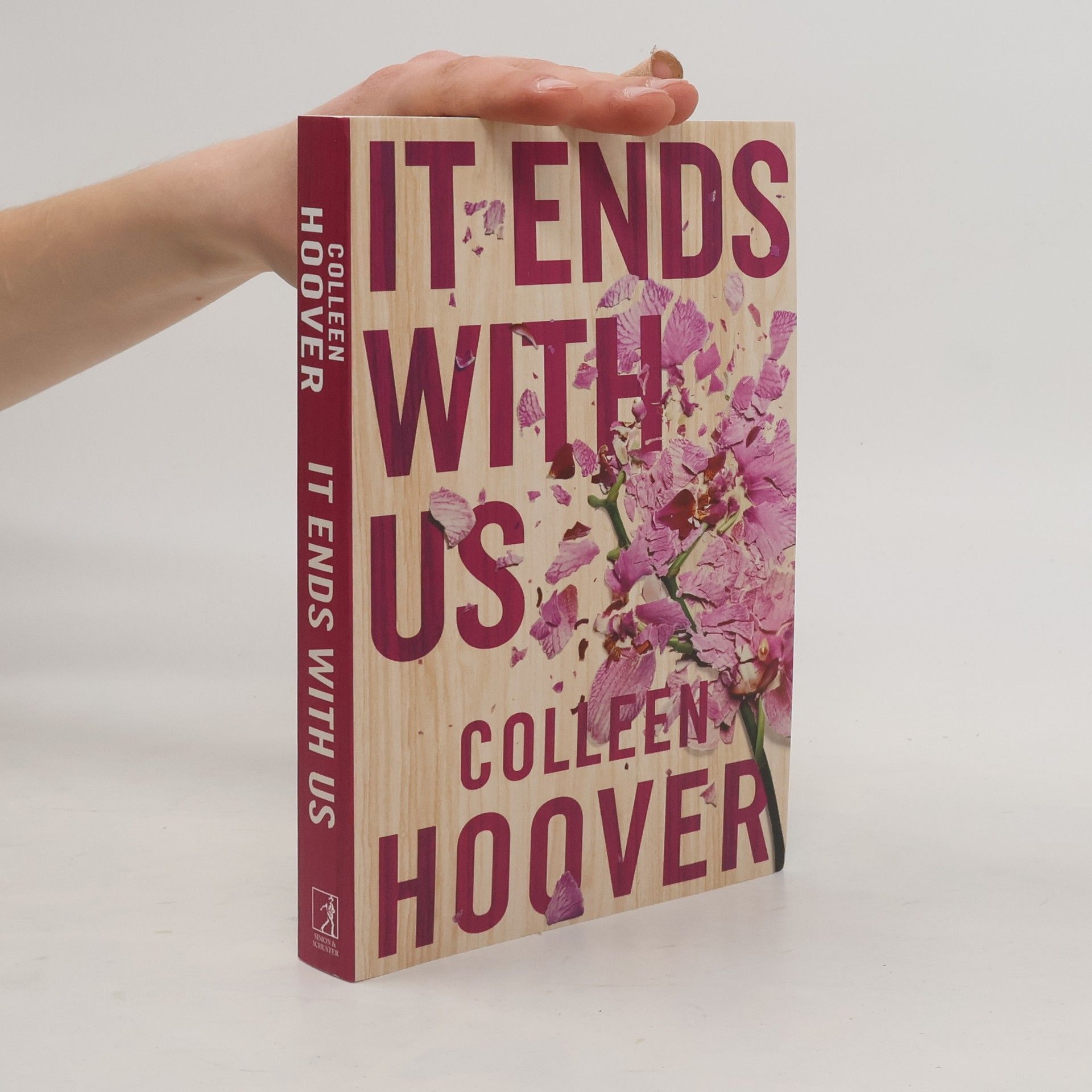 Colleen Hoover It Ends With Us