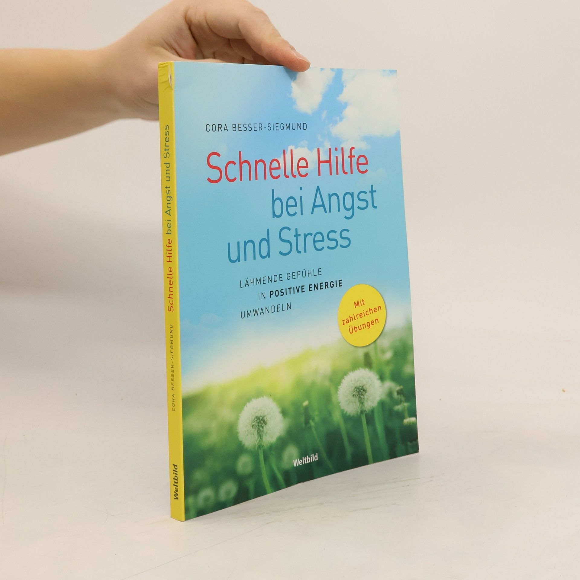 Schnelle Hilfe bei Angst und Stress