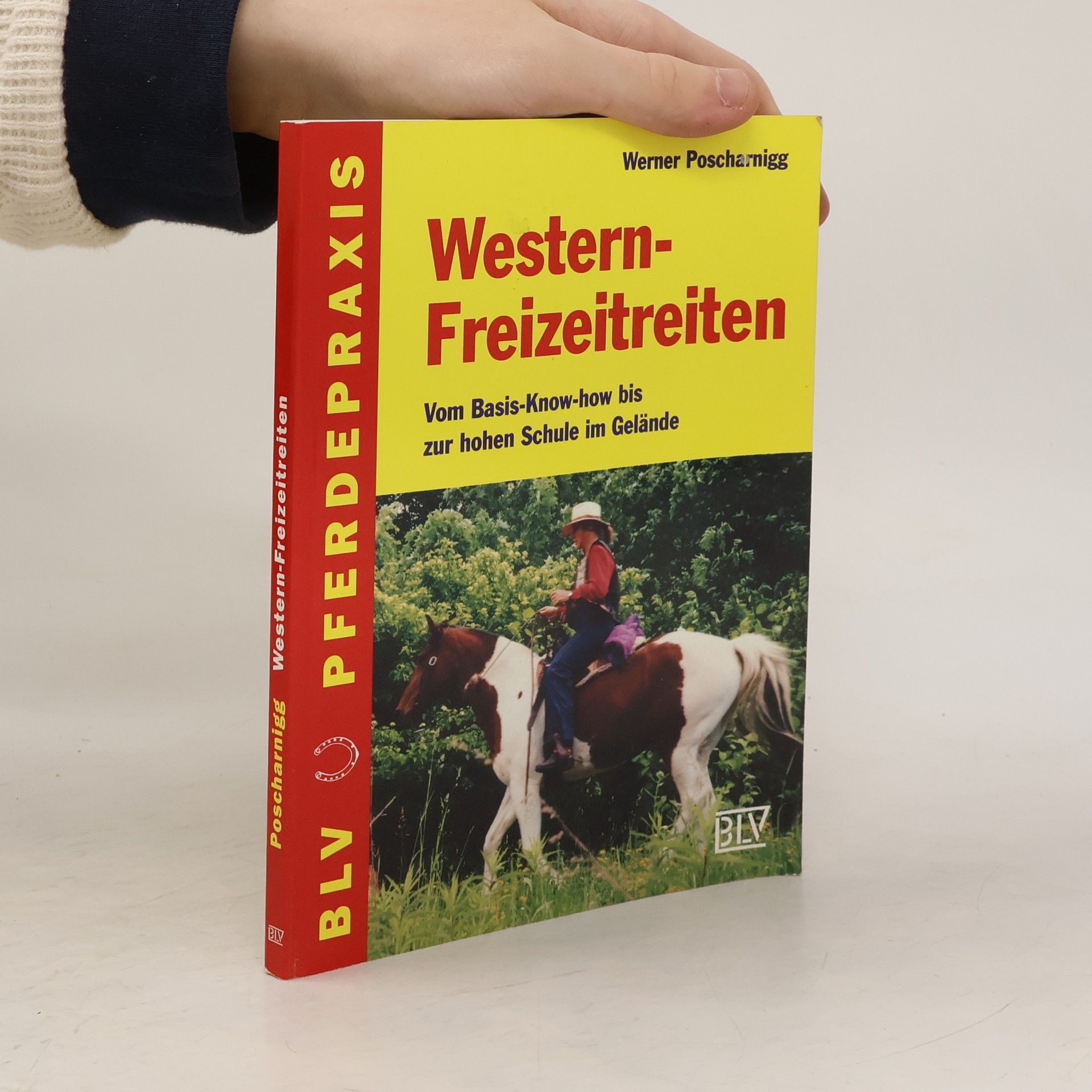 Werner Poscharnigg Westernfreizeitreiten